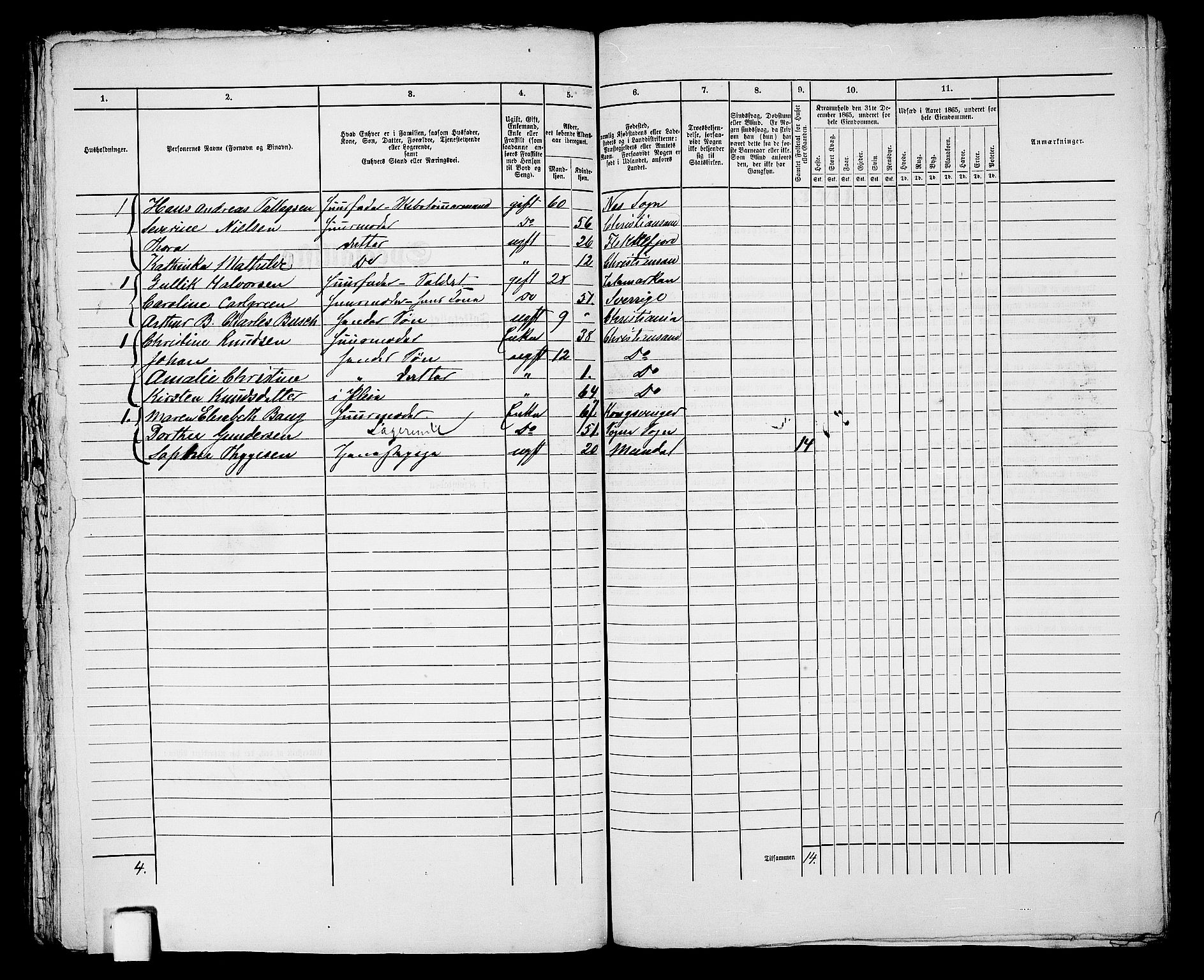 RA, 1865 census for Kristiansand, 1865, p. 1494