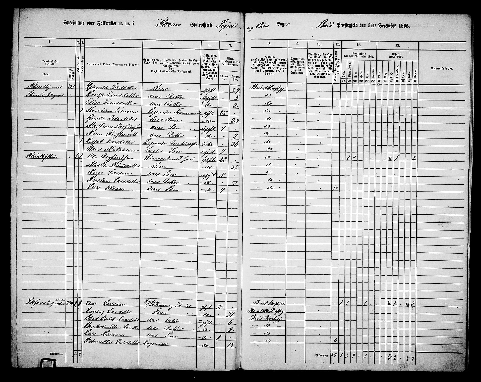 RA, 1865 census for Biri, 1865, p. 212