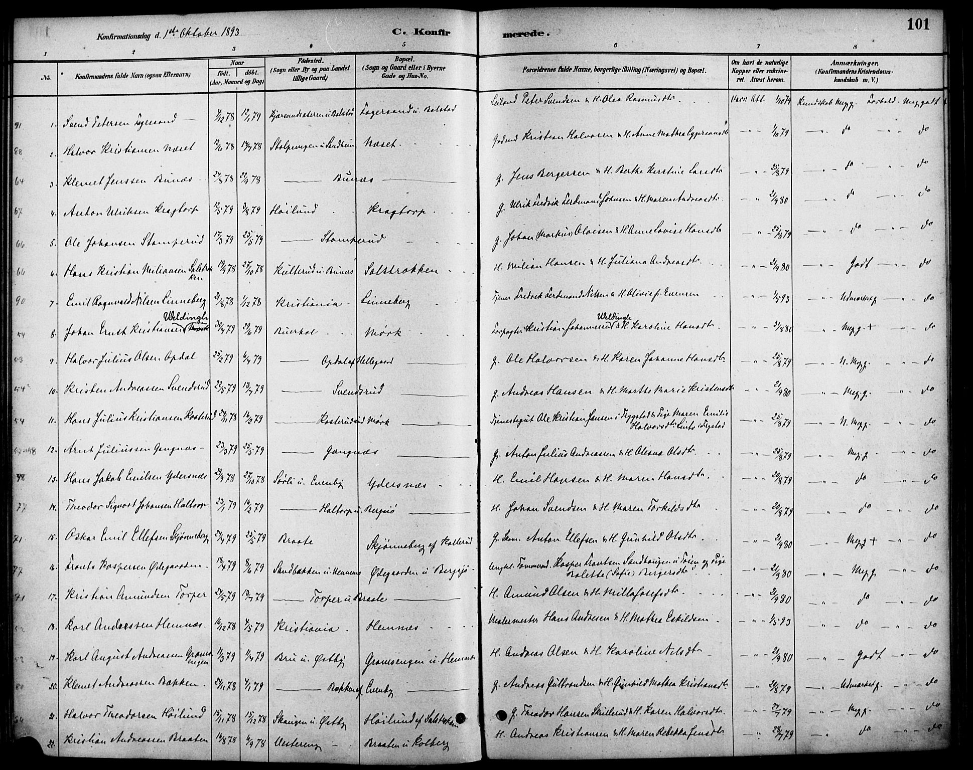 Høland prestekontor Kirkebøker, SAO/A-10346a/F/Fb/L0001: Parish register (official) no. II 1, 1880-1897, p. 101