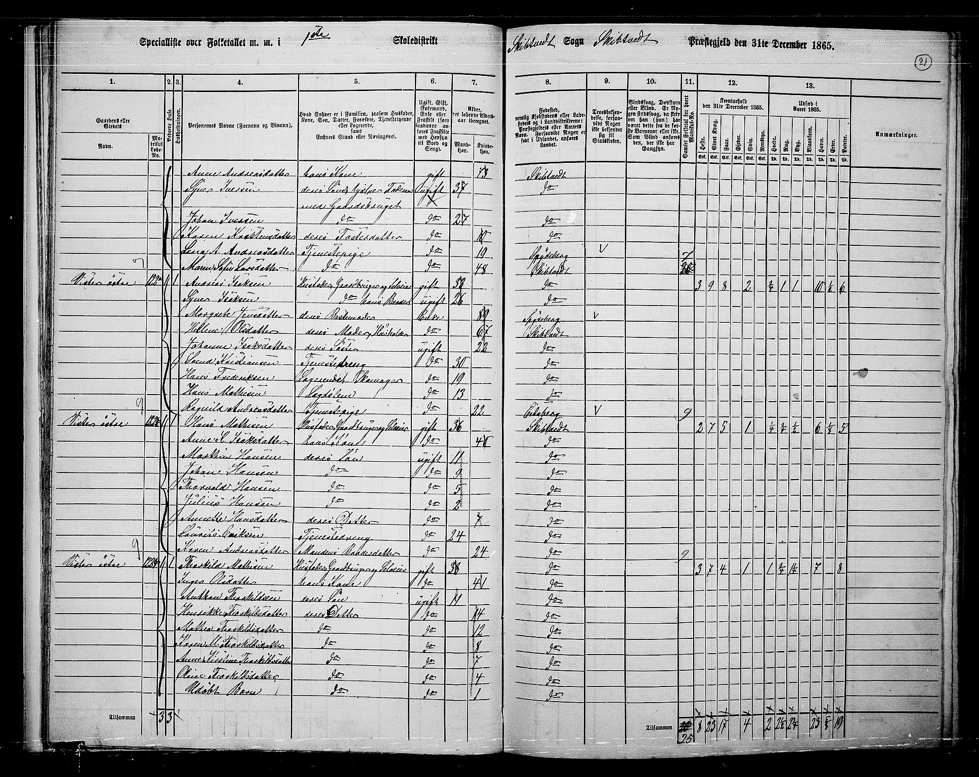 RA, 1865 census for Skiptvet, 1865, p. 20
