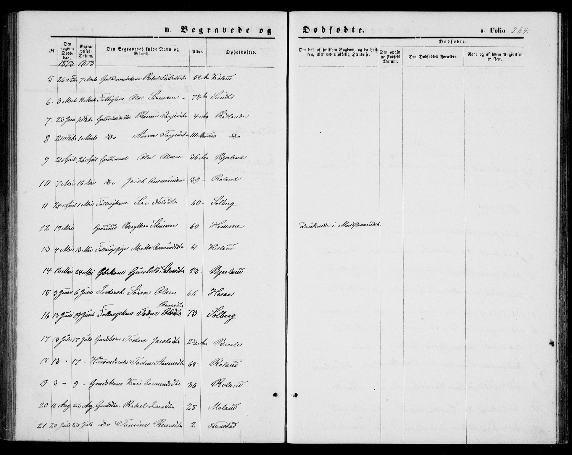 Bjelland sokneprestkontor, AV/SAK-1111-0005/F/Fb/Fba/L0004: Parish register (copy) no. B 4, 1869-1886, p. 264