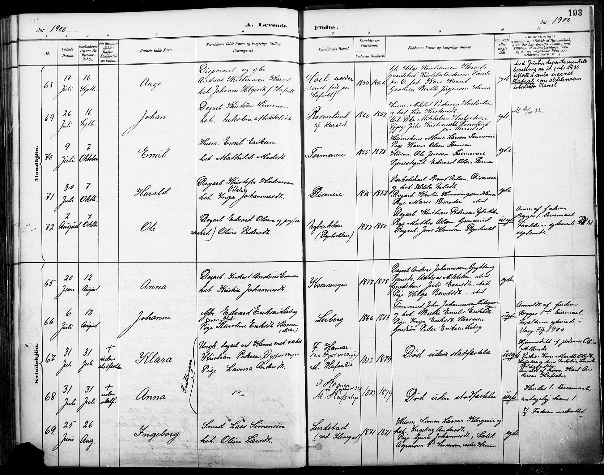 Vang prestekontor, Hedmark, SAH/PREST-008/H/Ha/Haa/L0019A: Parish register (official) no. 19, 1886-1900, p. 193