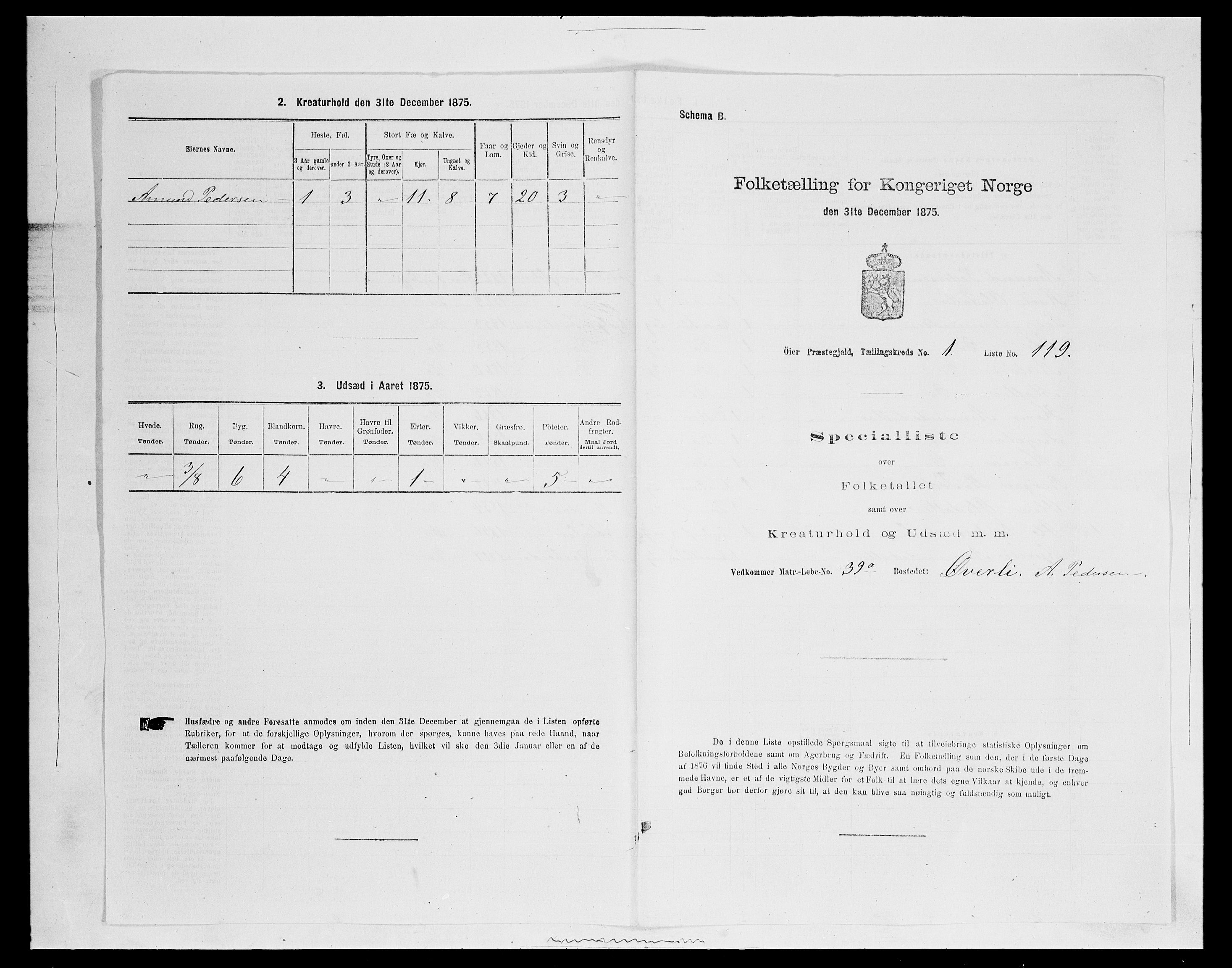 SAH, 1875 census for 0521P Øyer, 1875, p. 327