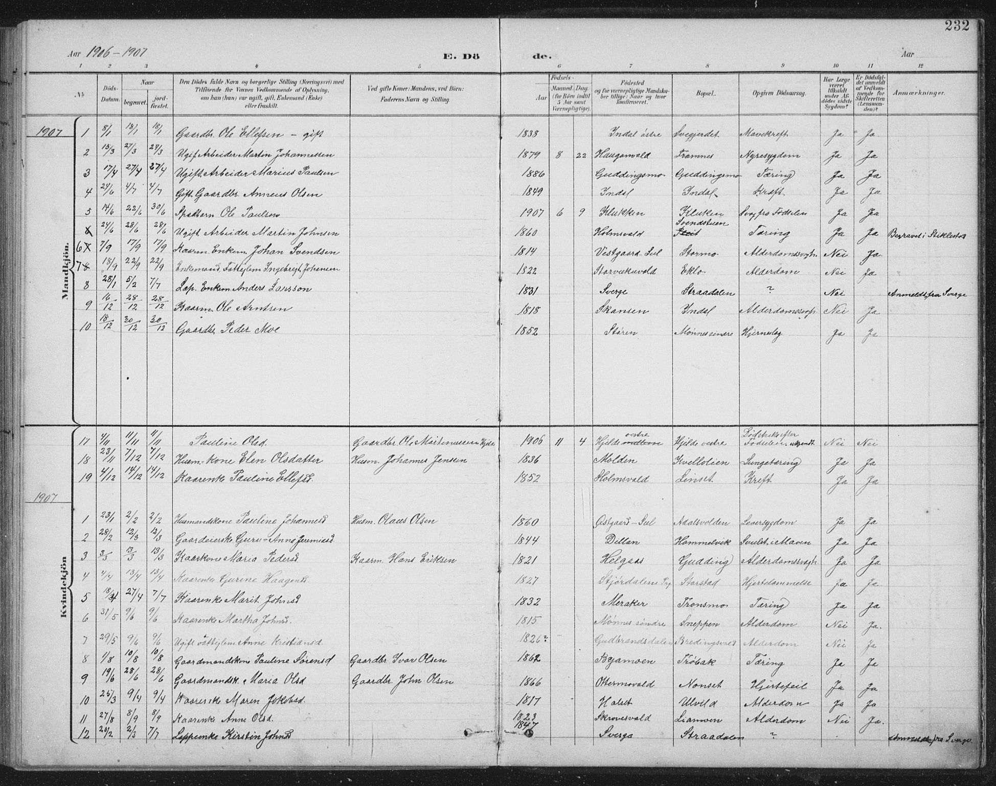 Ministerialprotokoller, klokkerbøker og fødselsregistre - Nord-Trøndelag, AV/SAT-A-1458/724/L0269: Parish register (copy) no. 724C05, 1899-1920, p. 232