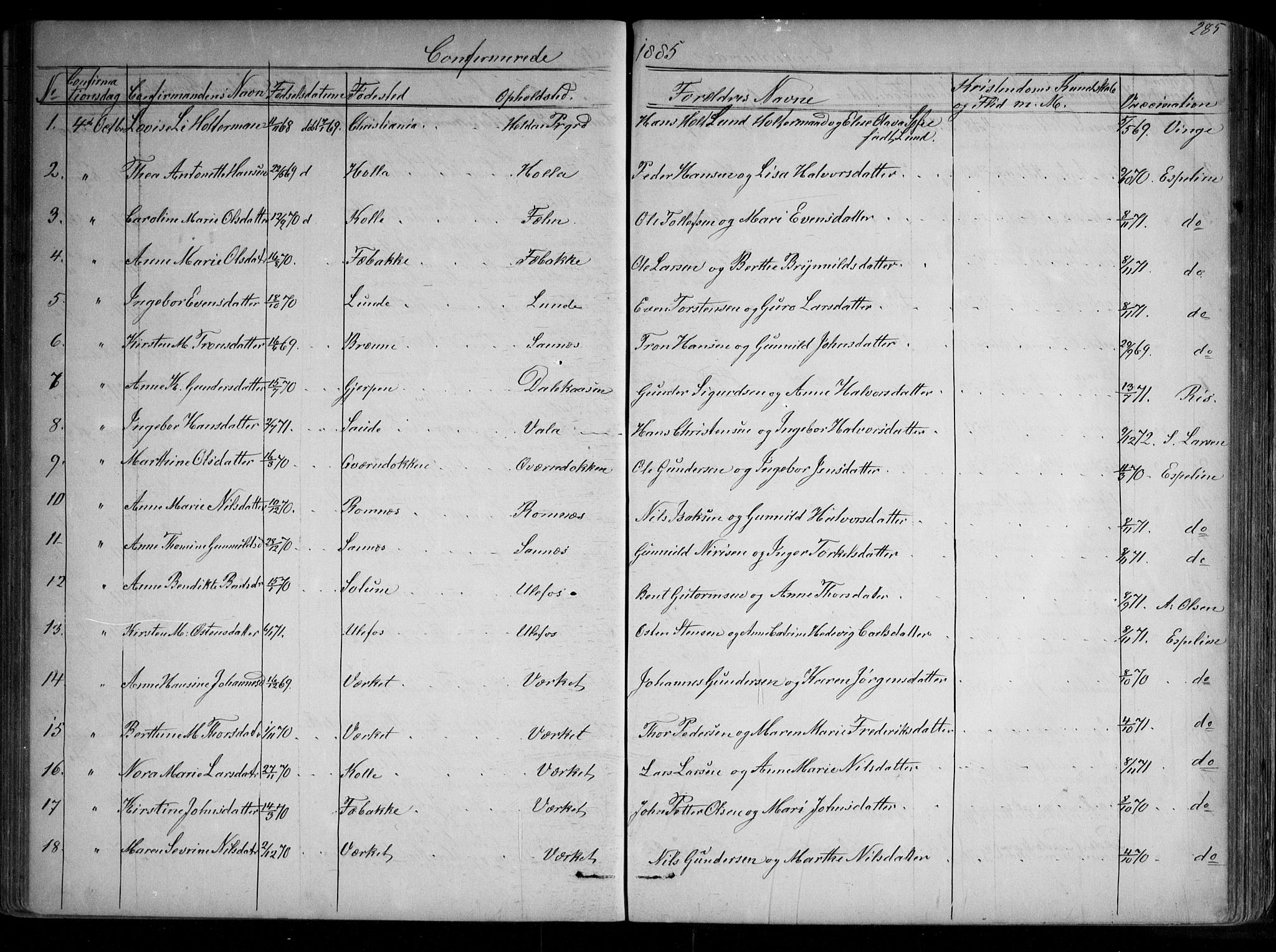 Holla kirkebøker, AV/SAKO-A-272/G/Ga/L0004: Parish register (copy) no. I 4, 1867-1890, p. 285