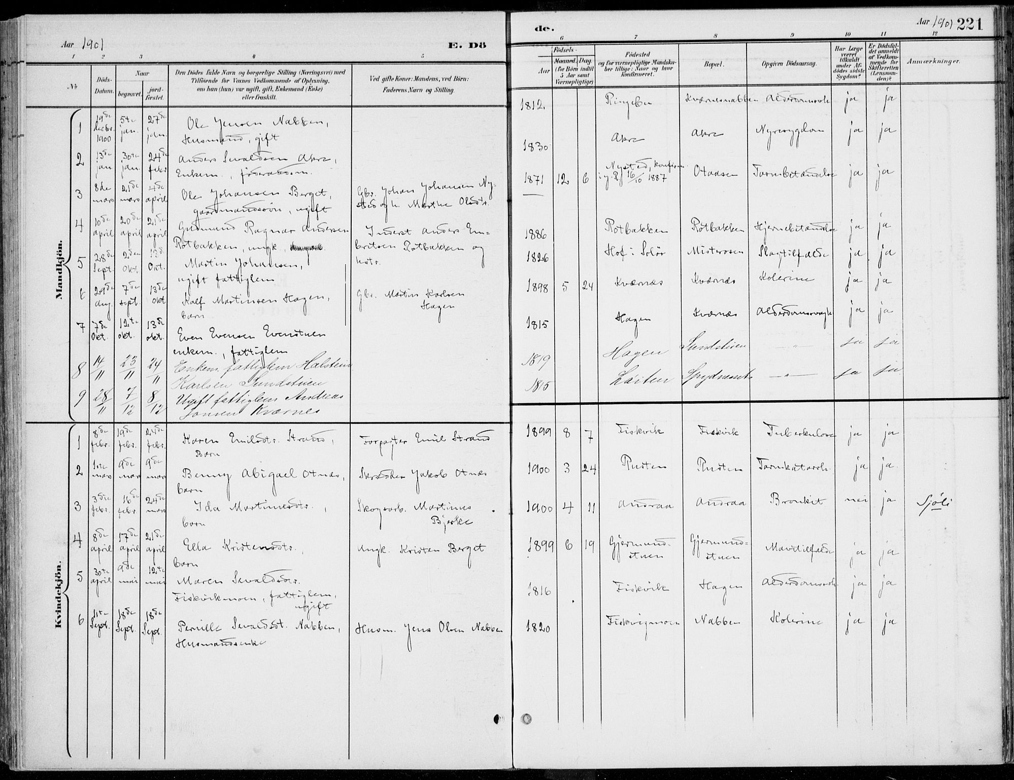 Rendalen prestekontor, SAH/PREST-054/H/Ha/Haa/L0011: Parish register (official) no. 11, 1901-1925, p. 221