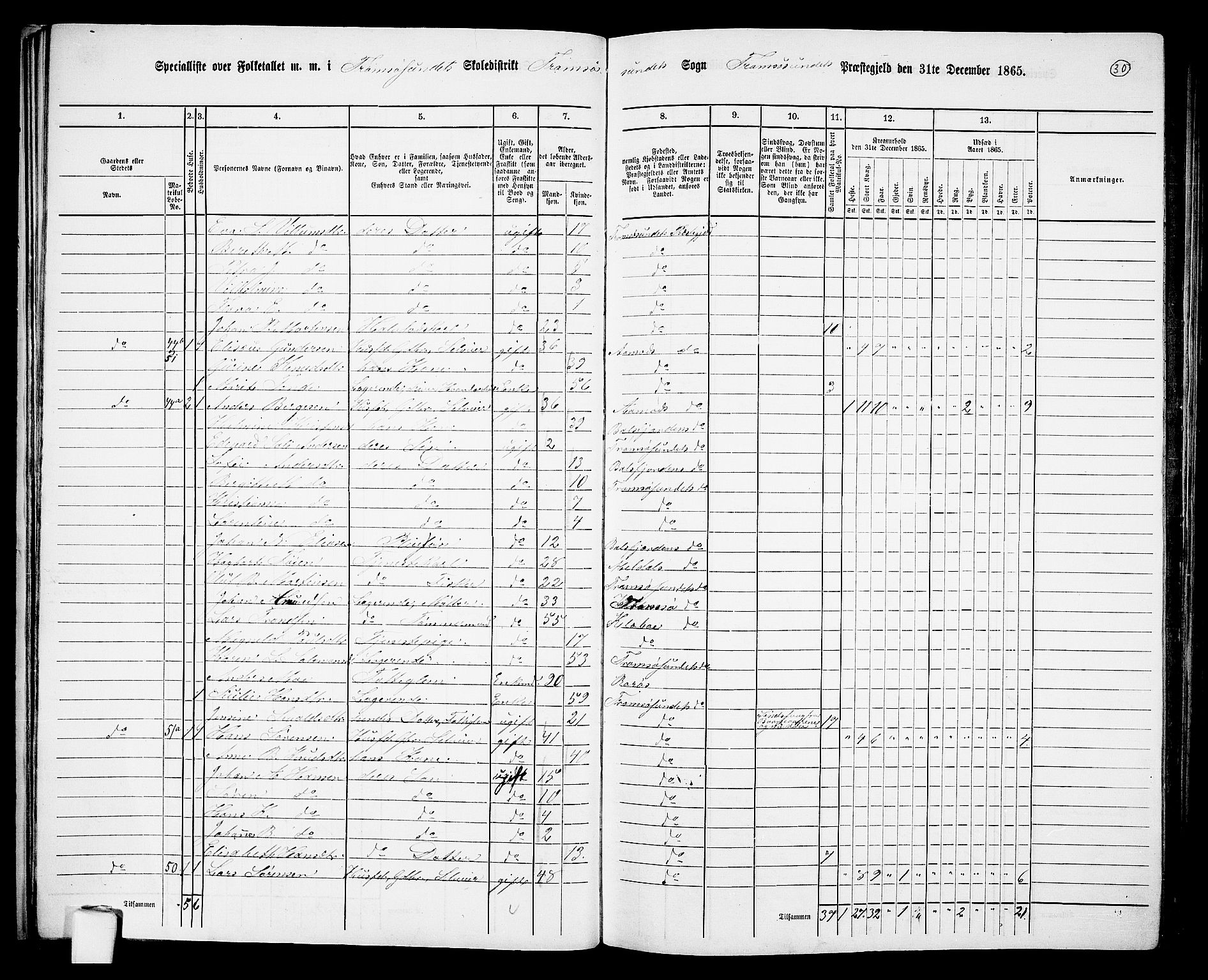 RA, 1865 census for Tromsøysund, 1865, p. 30