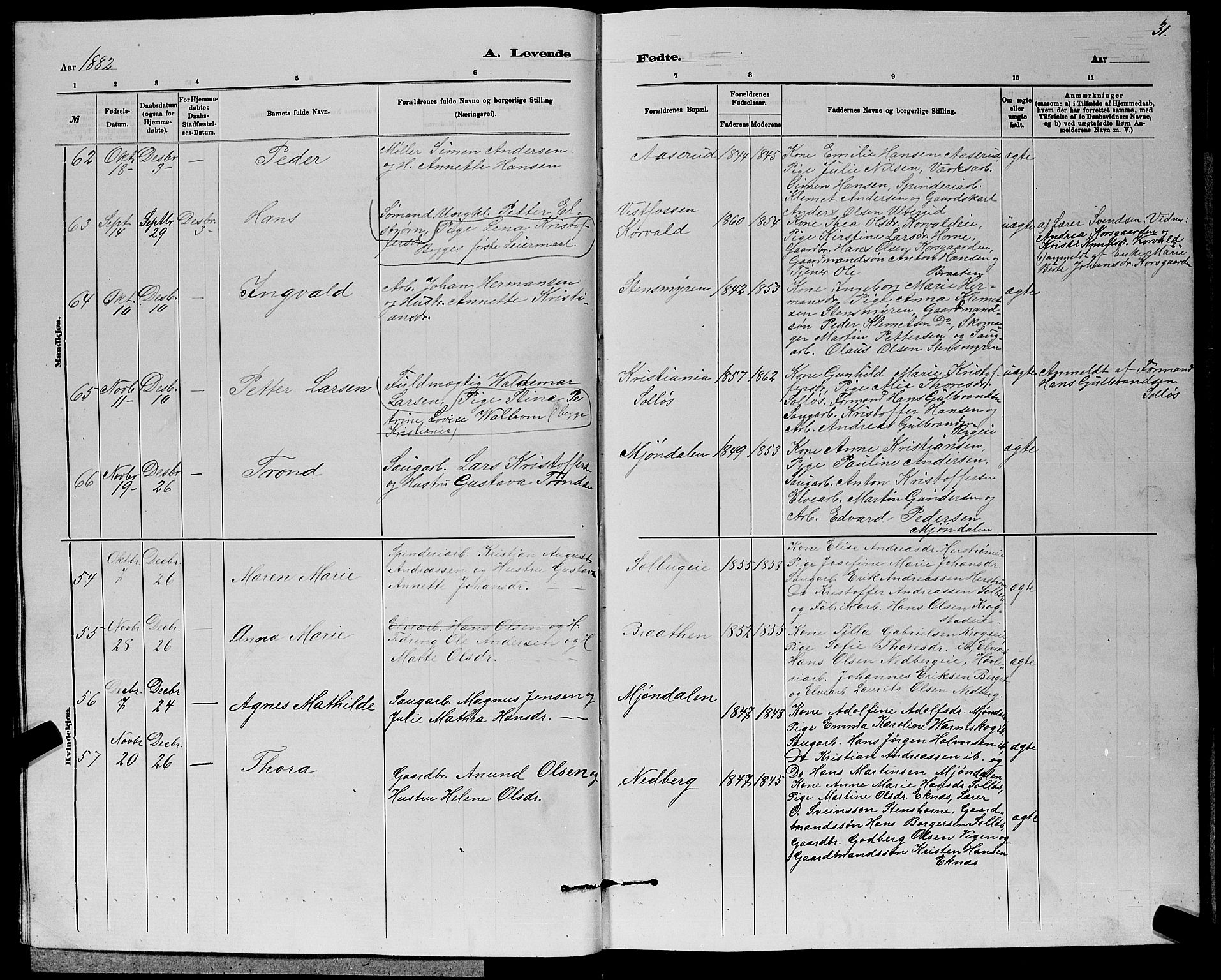 Nedre Eiker kirkebøker, AV/SAKO-A-612/G/Ga/L0002: Parish register (copy) no. 2, 1880-1896, p. 31