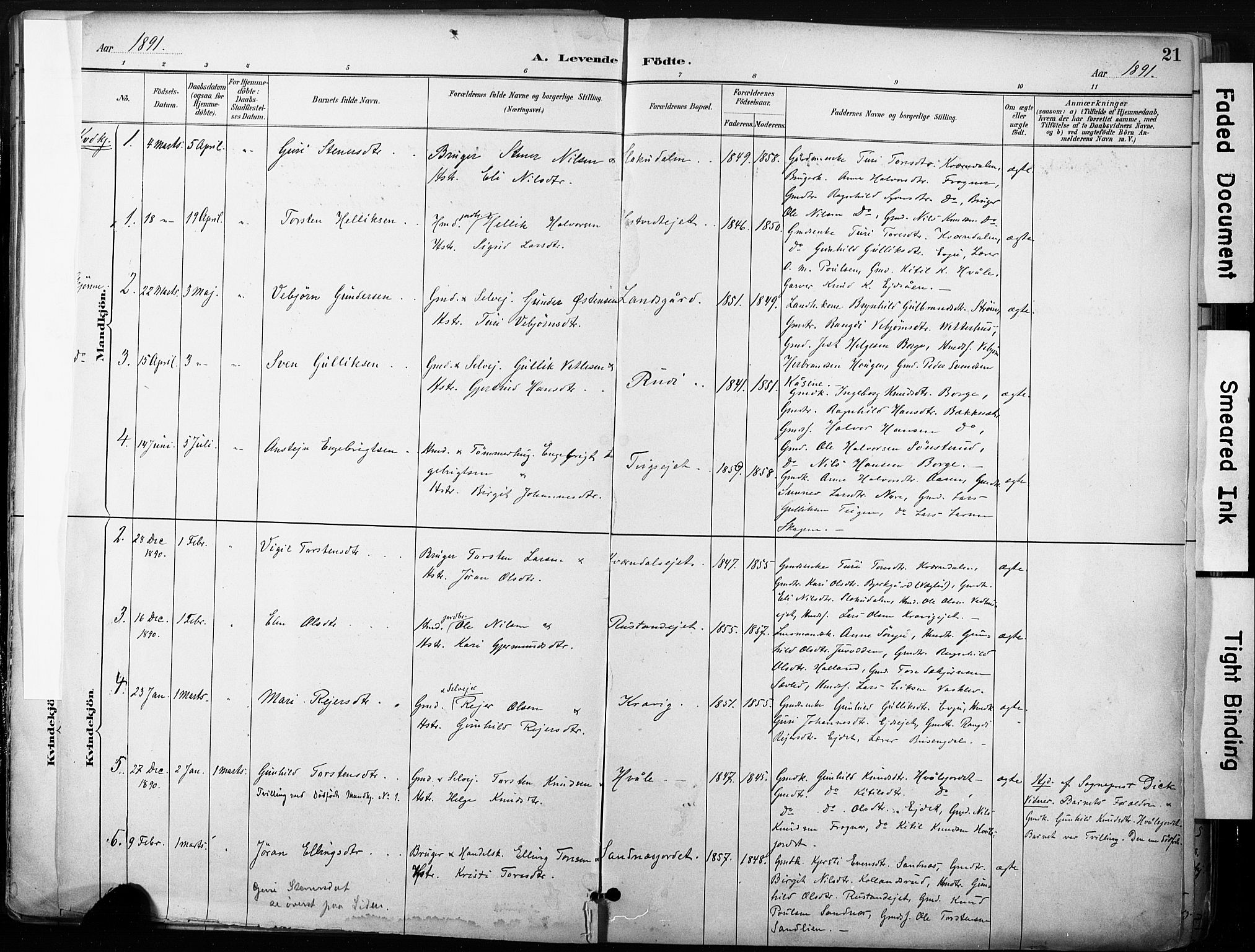 Nore kirkebøker, SAKO/A-238/F/Fb/L0002: Parish register (official) no. II 2, 1886-1906, p. 21