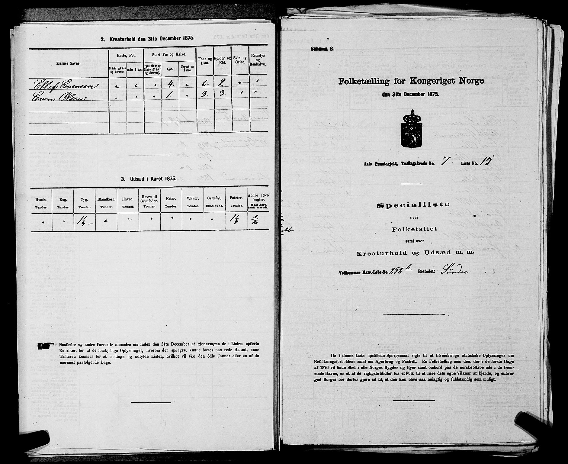 SAKO, 1875 census for 0619P Ål, 1875, p. 864