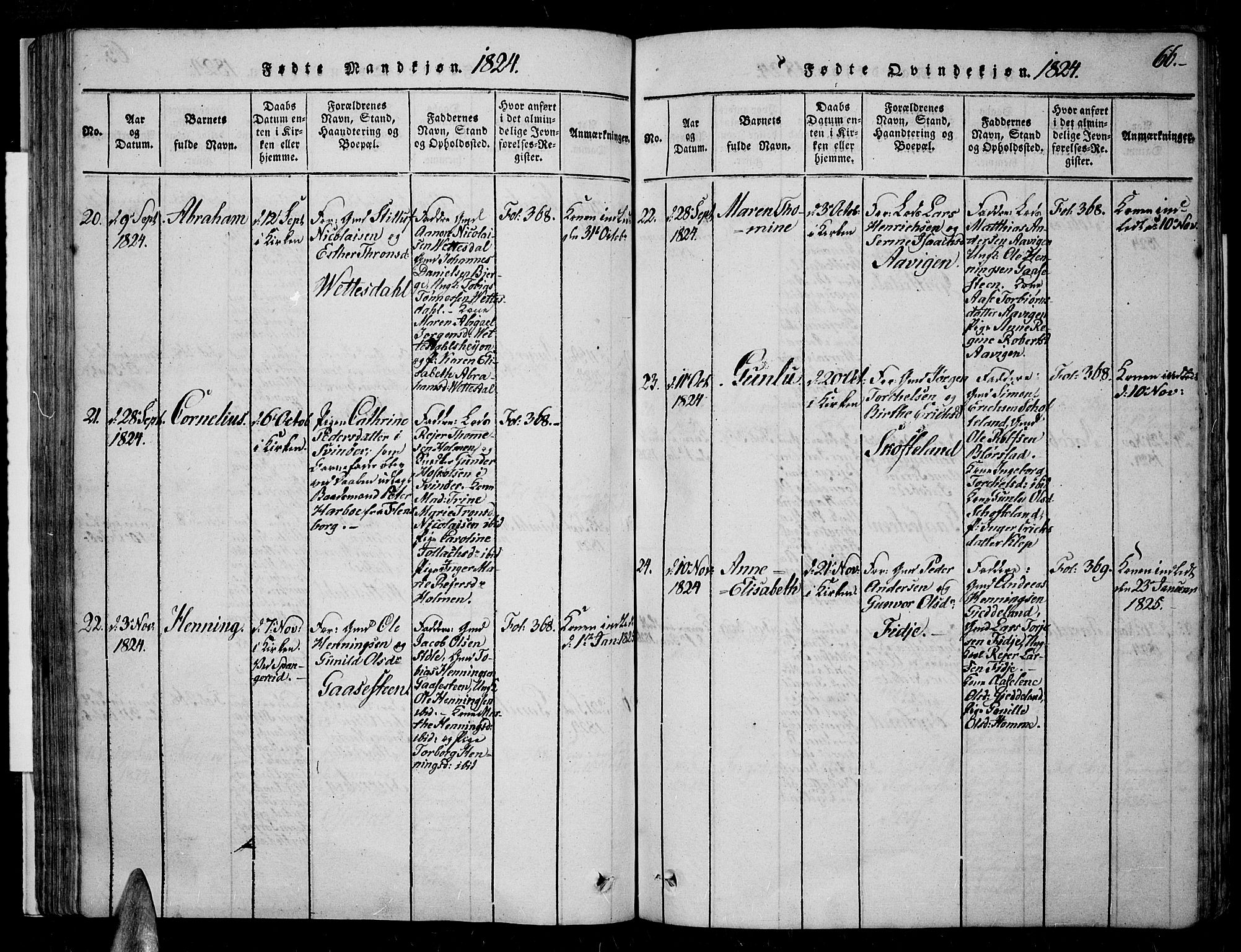 Sør-Audnedal sokneprestkontor, AV/SAK-1111-0039/F/Fa/Fab/L0005: Parish register (official) no. A 5, 1816-1830, p. 66