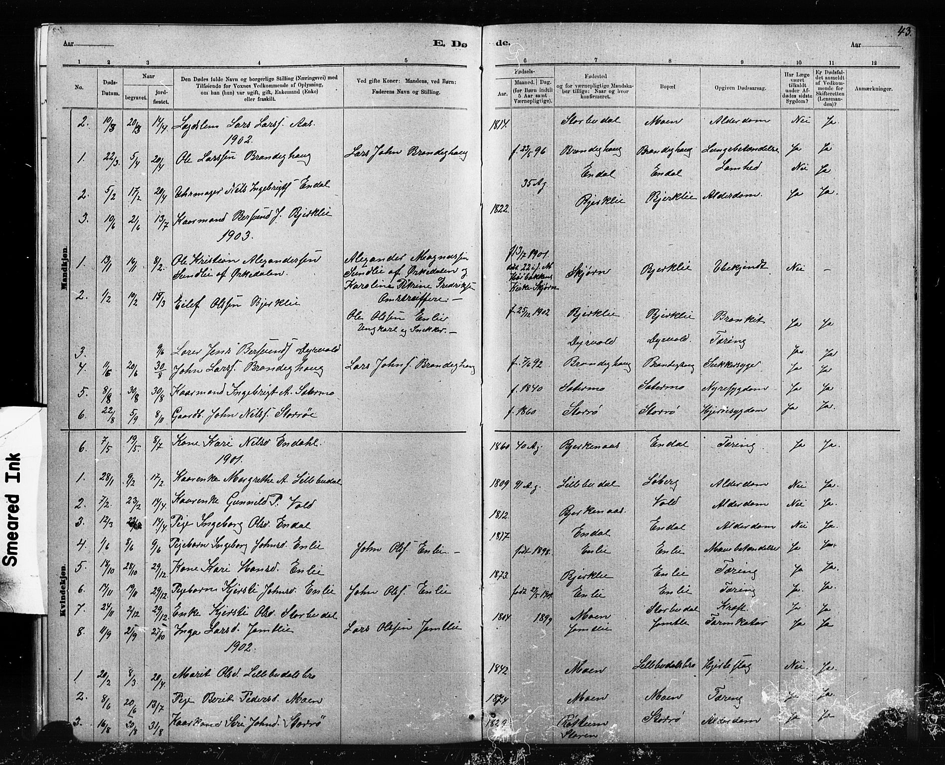 Ministerialprotokoller, klokkerbøker og fødselsregistre - Sør-Trøndelag, SAT/A-1456/690/L1051: Parish register (copy) no. 690C01, 1887-1908, p. 43