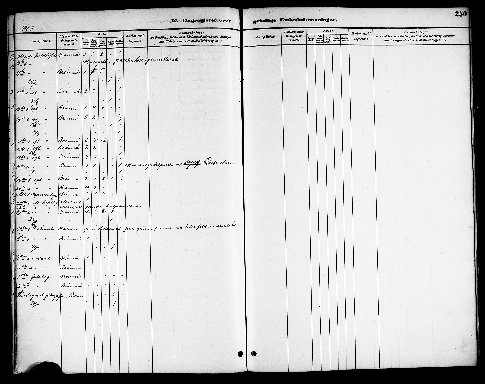 Ministerialprotokoller, klokkerbøker og fødselsregistre - Nordland, SAT/A-1459/813/L0213: Parish register (copy) no. 813C05, 1887-1903, p. 250