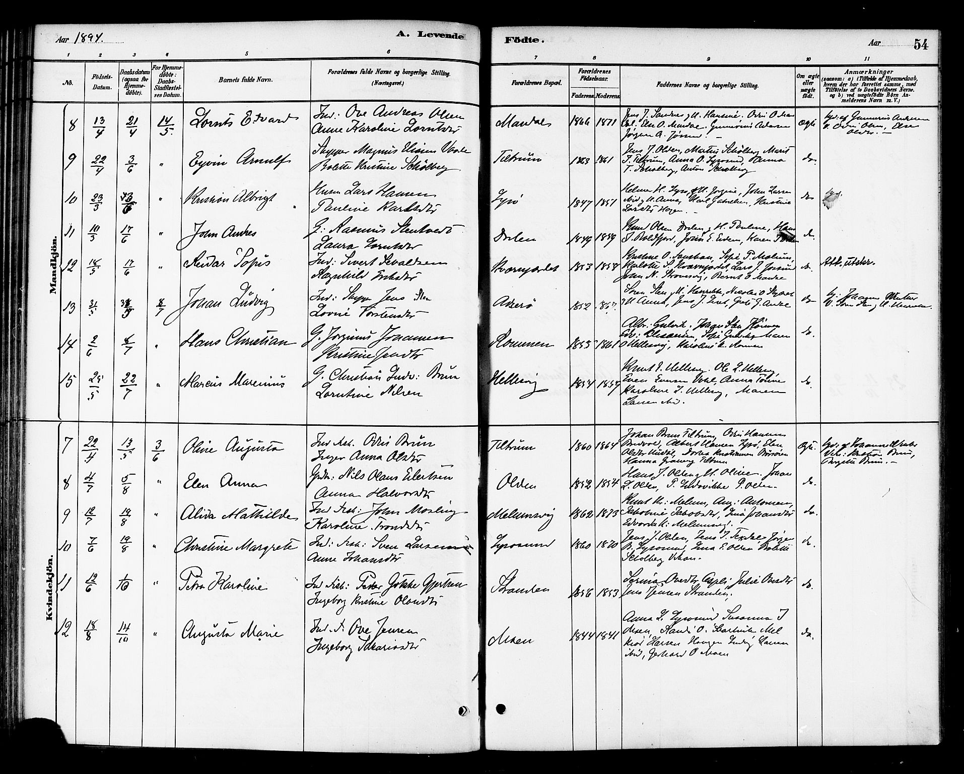 Ministerialprotokoller, klokkerbøker og fødselsregistre - Sør-Trøndelag, SAT/A-1456/654/L0663: Parish register (official) no. 654A01, 1880-1894, p. 54