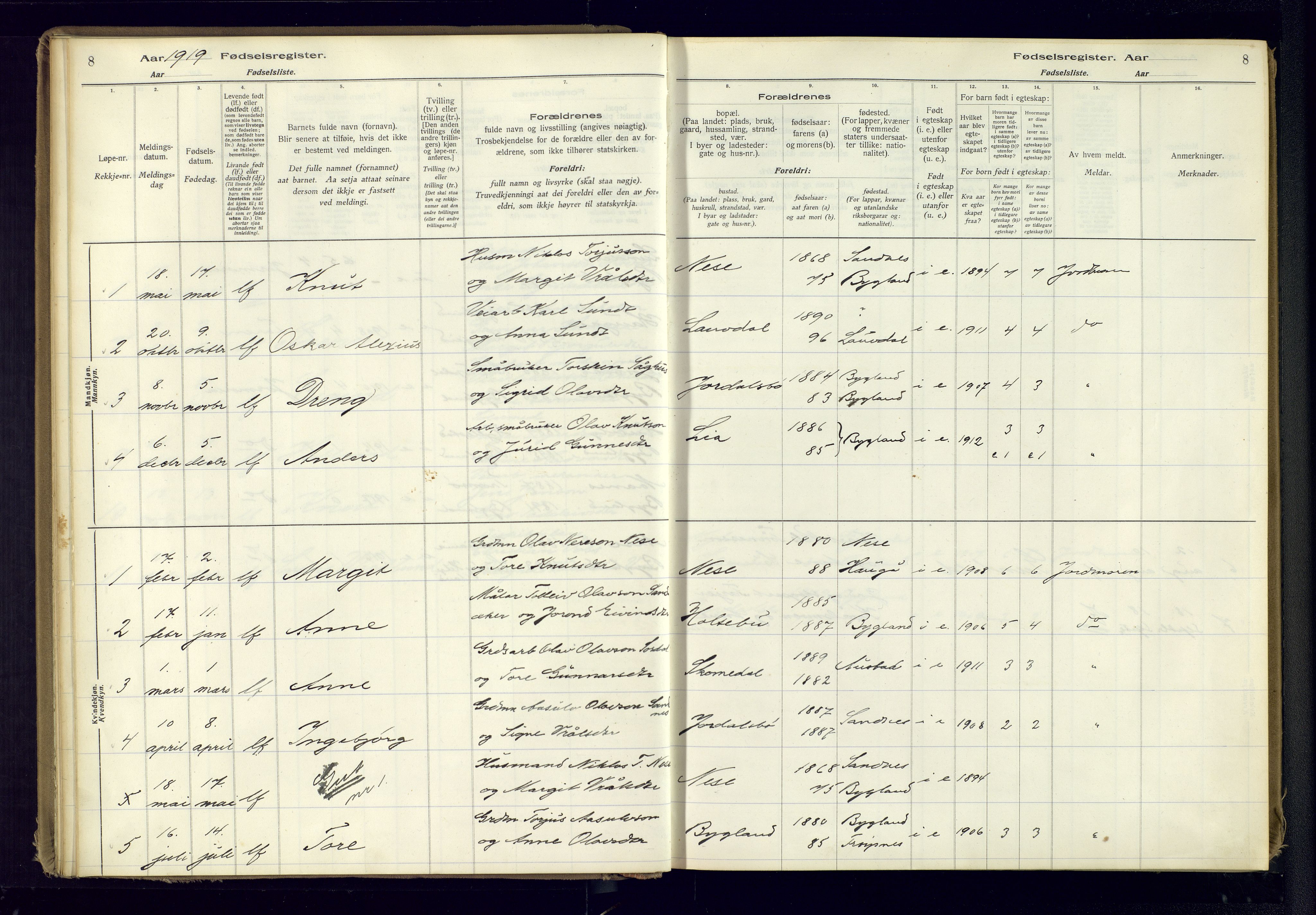 Bygland sokneprestkontor, SAK/1111-0006/J/Ja/L0001: Birth register no. II.4.2, 1916-1982, p. 8