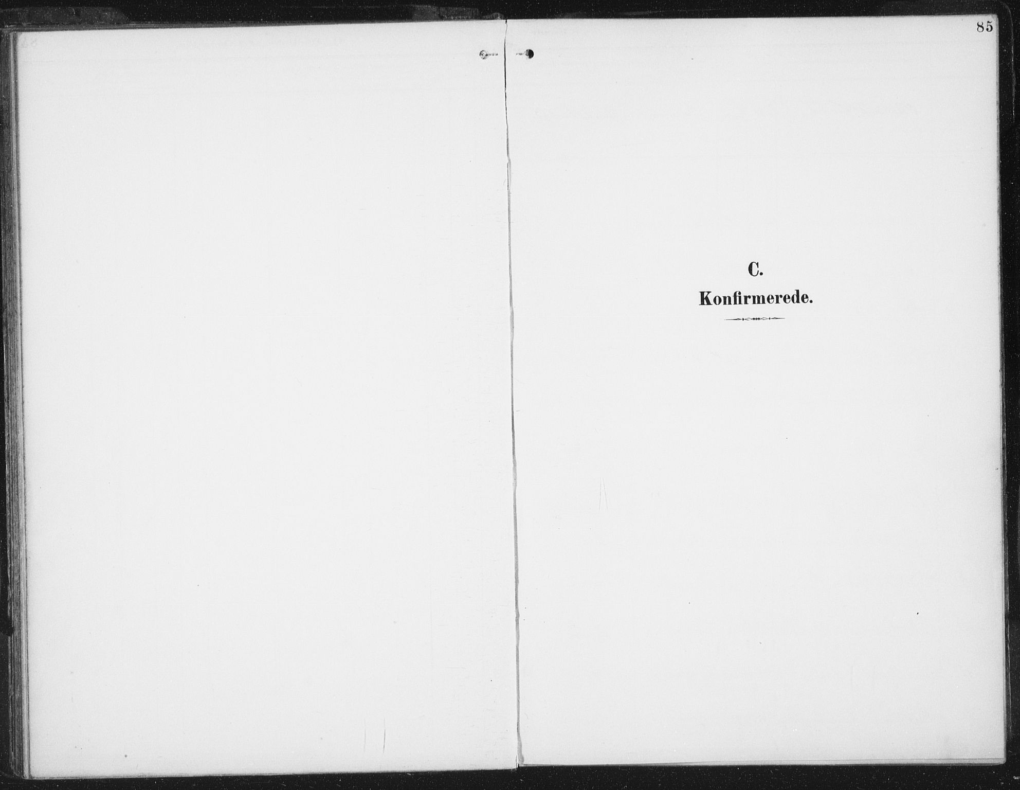 Ministerialprotokoller, klokkerbøker og fødselsregistre - Sør-Trøndelag, SAT/A-1456/674/L0872: Parish register (official) no. 674A04, 1897-1907, p. 85