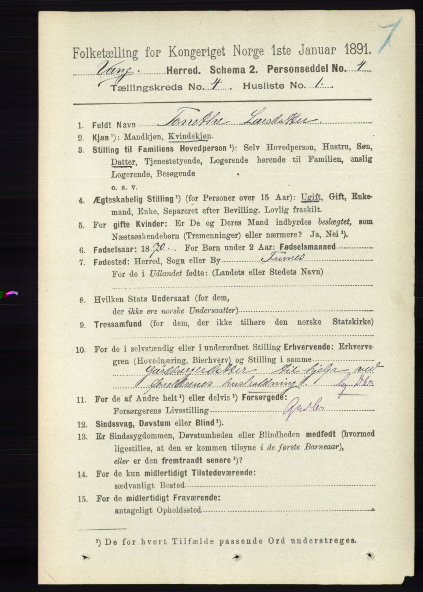 RA, 1891 census for 0414 Vang, 1891, p. 2751