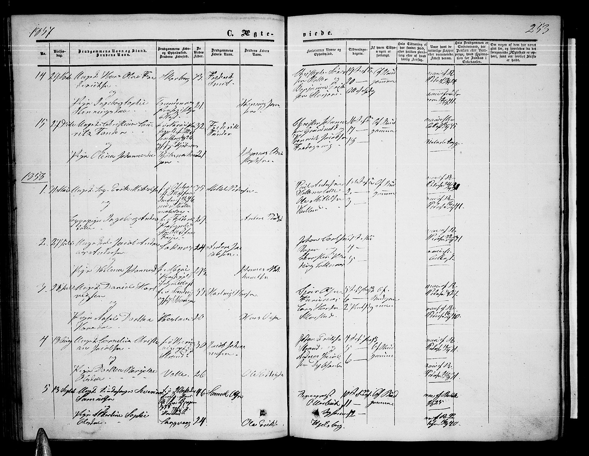Ministerialprotokoller, klokkerbøker og fødselsregistre - Nordland, AV/SAT-A-1459/872/L1046: Parish register (copy) no. 872C02, 1852-1879, p. 253