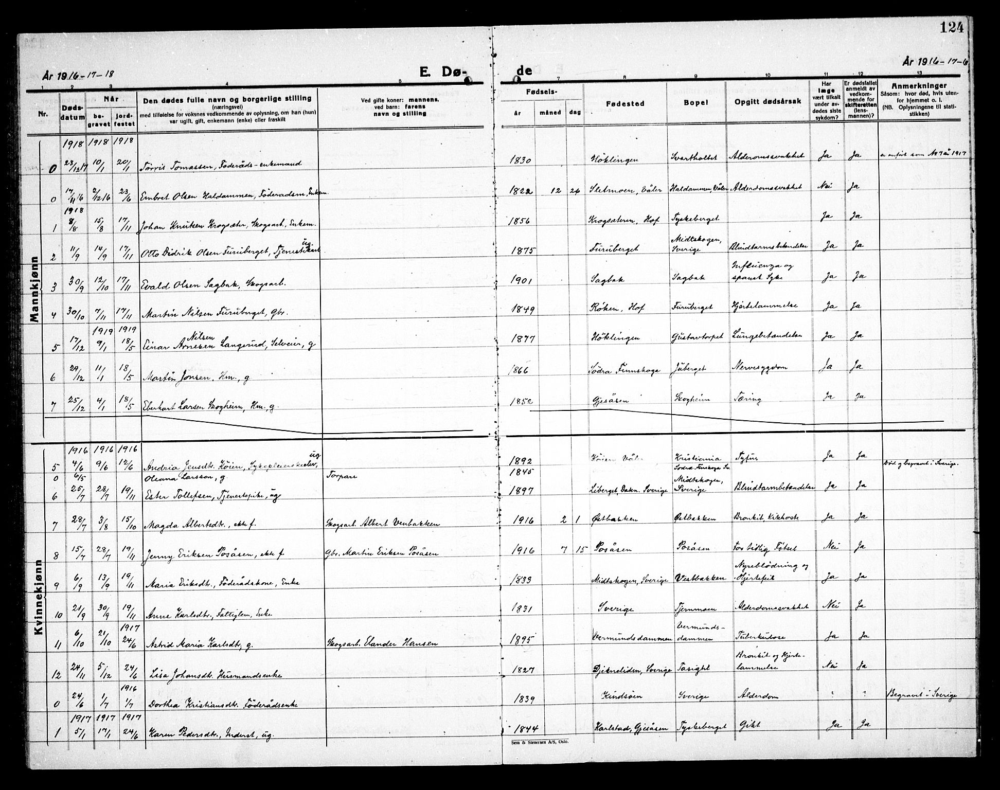 Åsnes prestekontor, AV/SAH-PREST-042/H/Ha/Haa/L0000E: Parish register (official) no. 0C, 1890-1929, p. 124