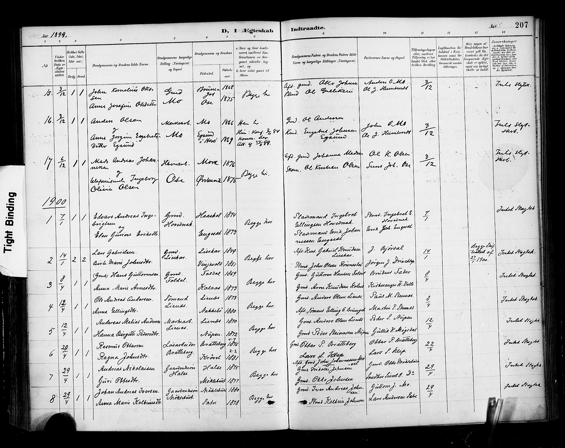 Ministerialprotokoller, klokkerbøker og fødselsregistre - Møre og Romsdal, AV/SAT-A-1454/513/L0177: Parish register (official) no. 513A04, 1890-1906, p. 207