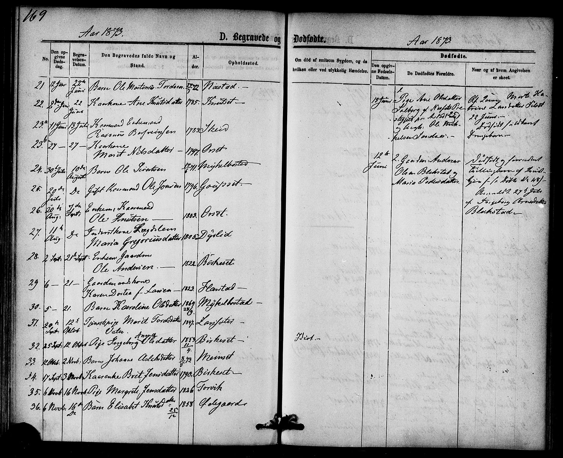 Ministerialprotokoller, klokkerbøker og fødselsregistre - Møre og Romsdal, AV/SAT-A-1454/584/L0966: Parish register (official) no. 584A06, 1869-1878, p. 169