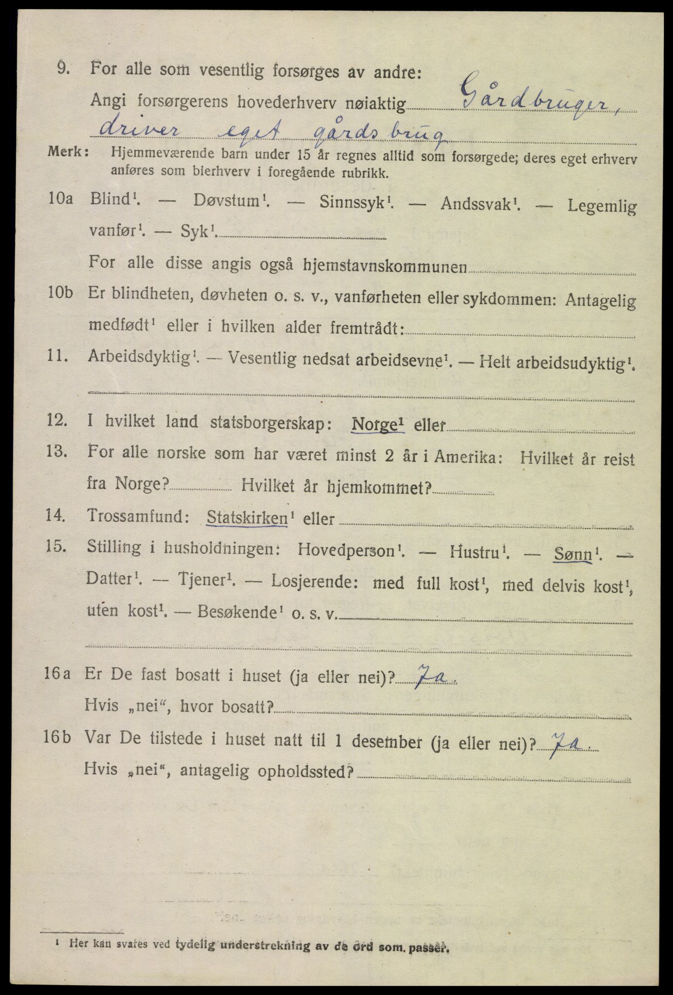 SAK, 1920 census for Hornnes, 1920, p. 1586