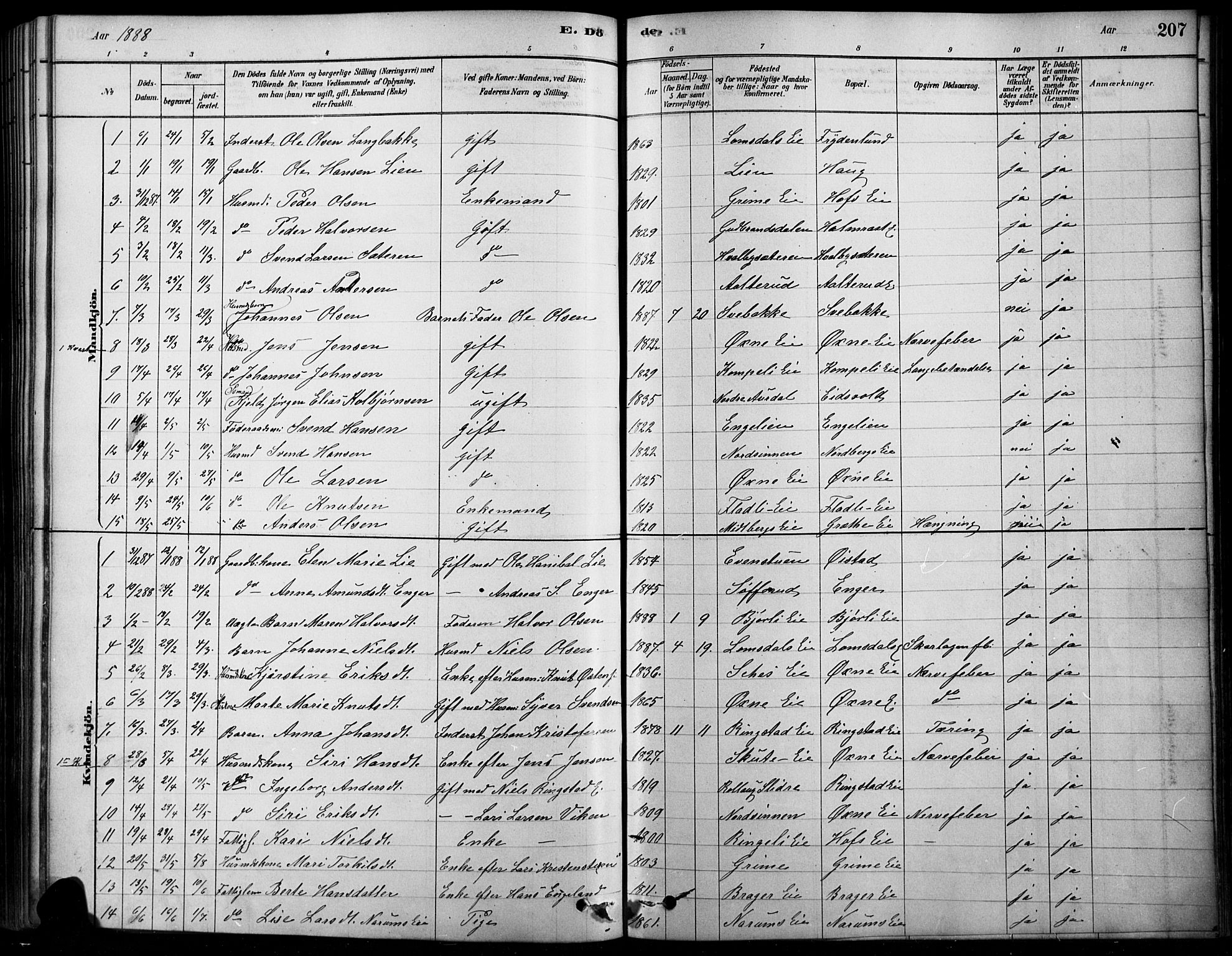 Søndre Land prestekontor, AV/SAH-PREST-122/K/L0003: Parish register (official) no. 3, 1878-1894, p. 207