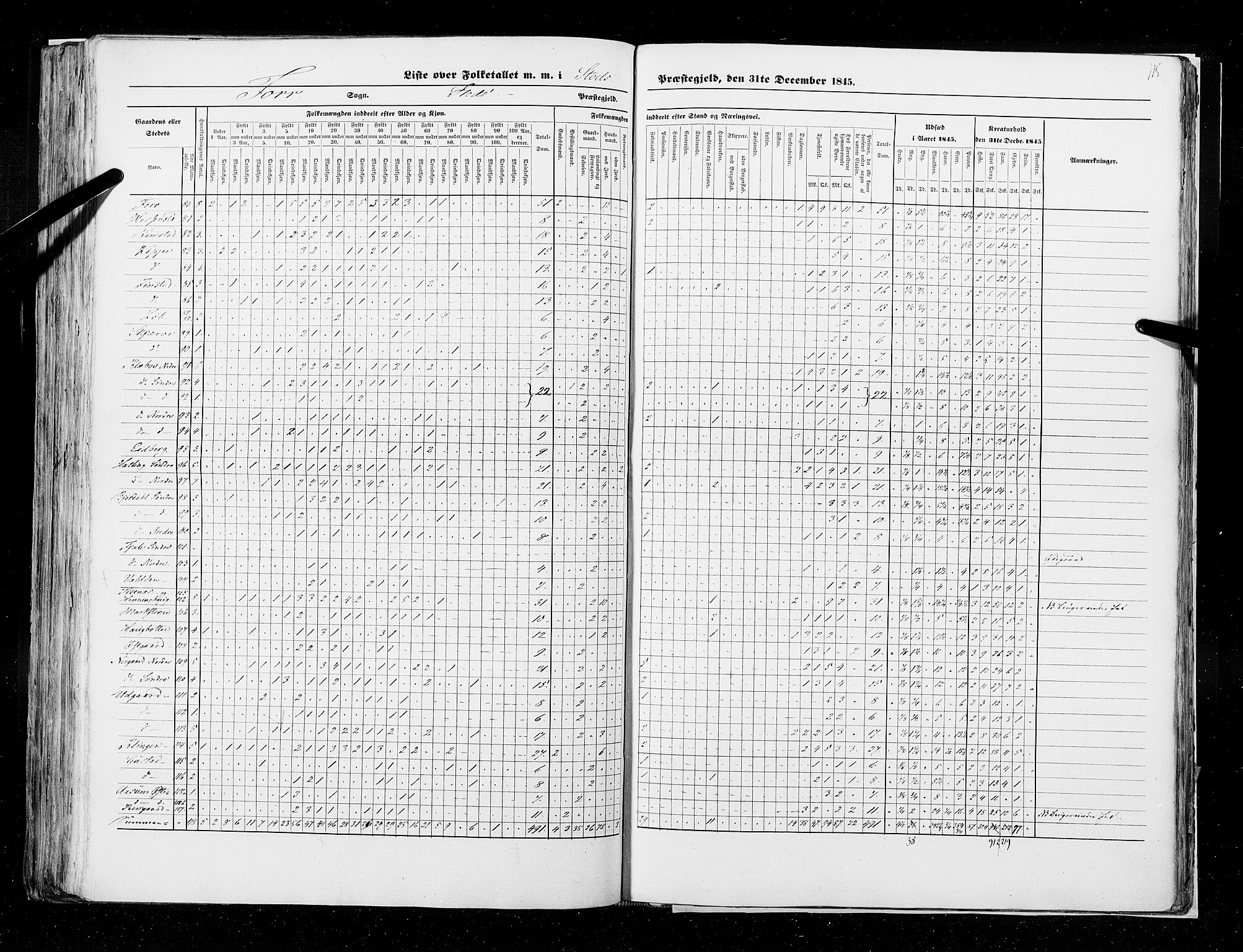 RA, Census 1845, vol. 9A: Nordre Trondhjems amt, 1845, p. 115