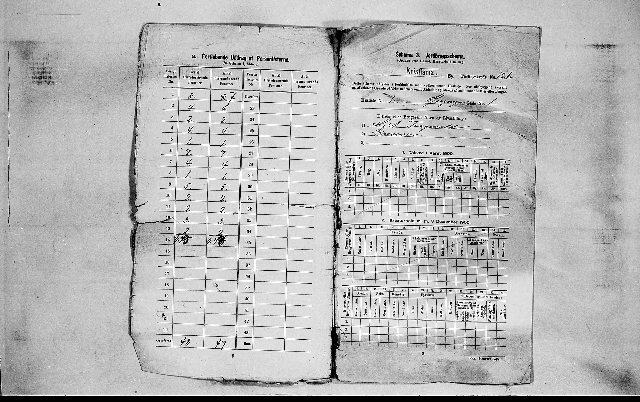 SAO, 1900 census for Kristiania, 1900, p. 31589