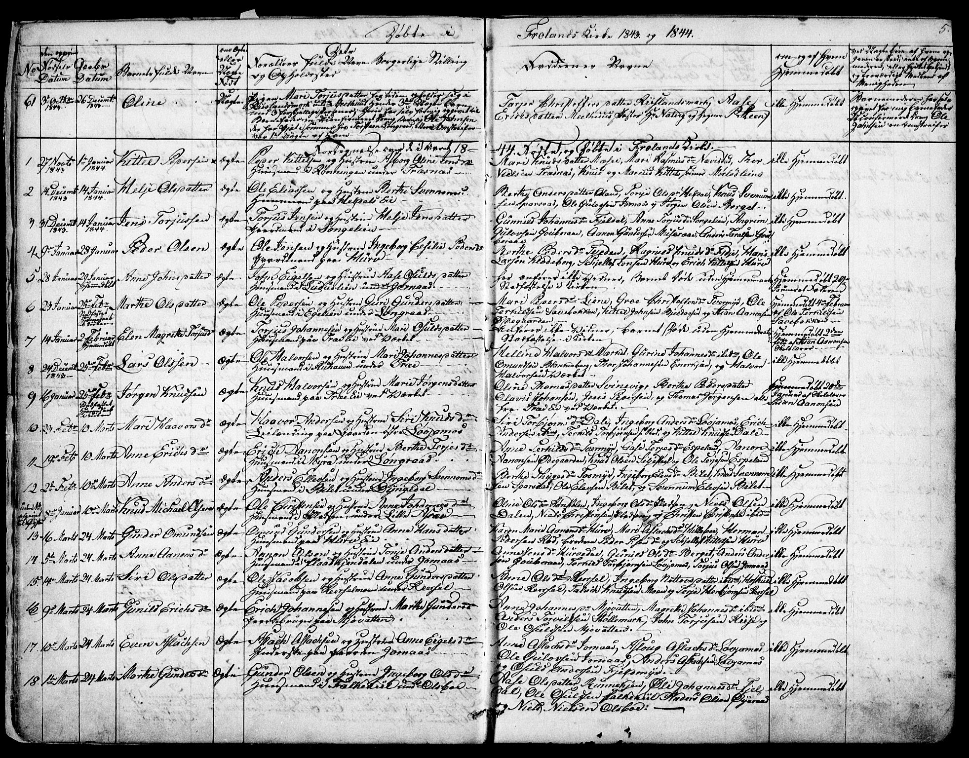 Froland sokneprestkontor, SAK/1111-0013/F/Fb/L0008: Parish register (copy) no. B 8, 1843-1875, p. 5
