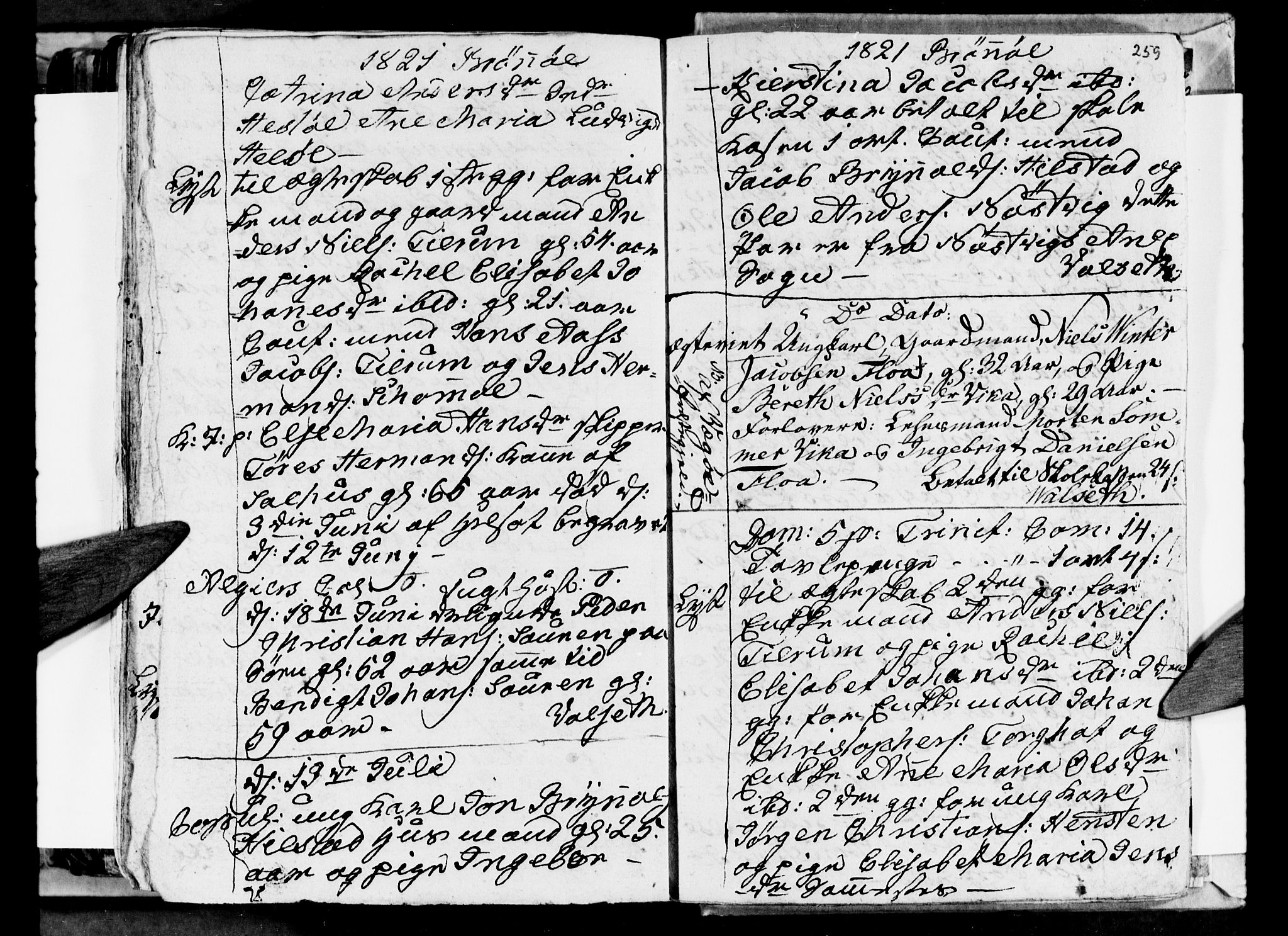 Ministerialprotokoller, klokkerbøker og fødselsregistre - Nordland, AV/SAT-A-1459/813/L0209: Parish register (copy) no. 813C01, 1803-1821, p. 259