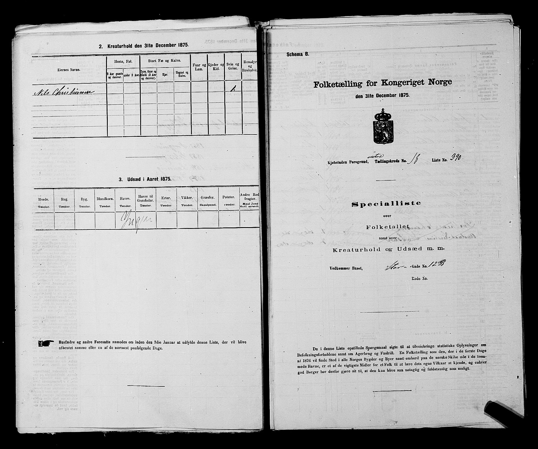 SAKO, 1875 census for 0805P Porsgrunn, 1875, p. 879