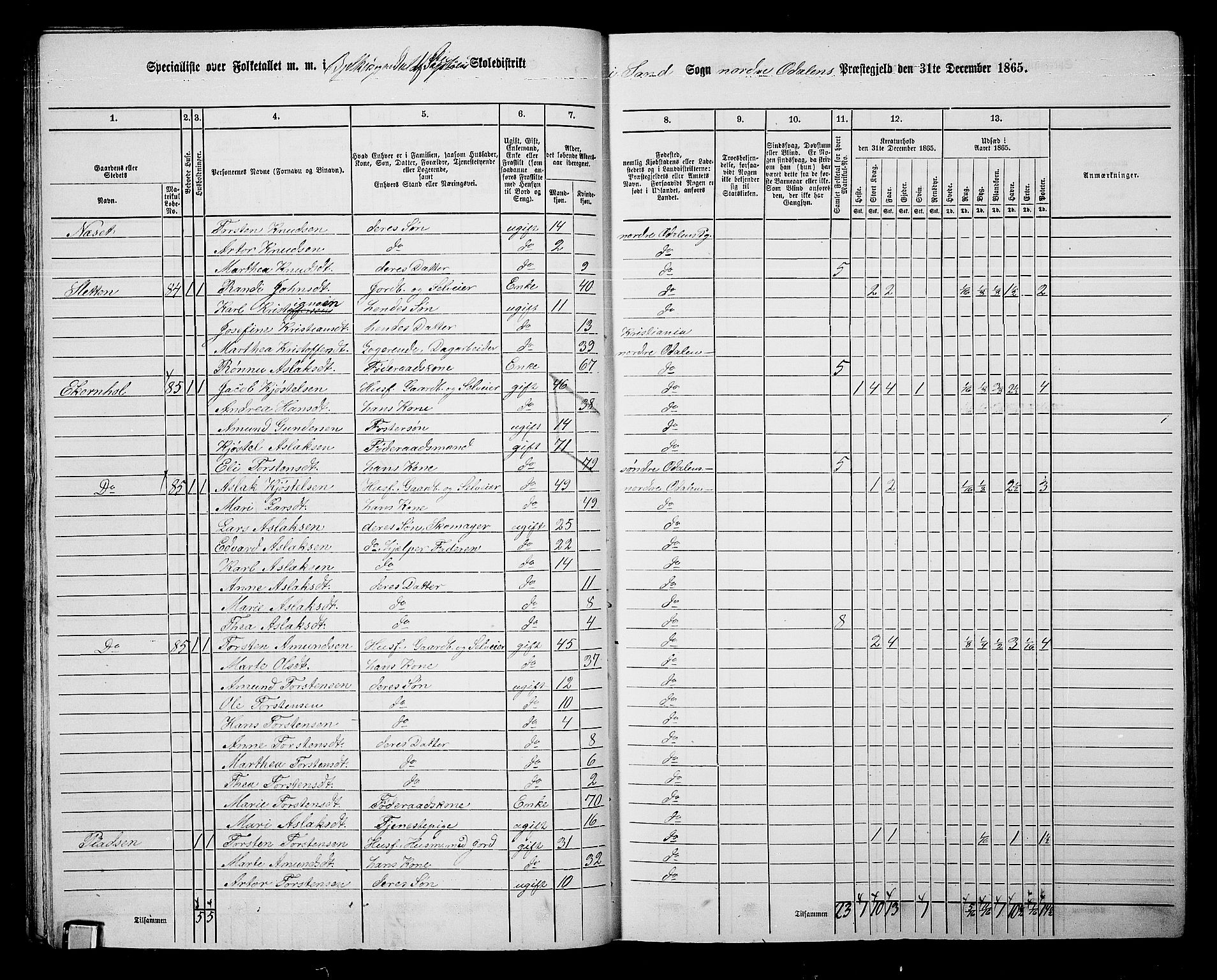 RA, 1865 census for Nord-Odal, 1865, p. 28