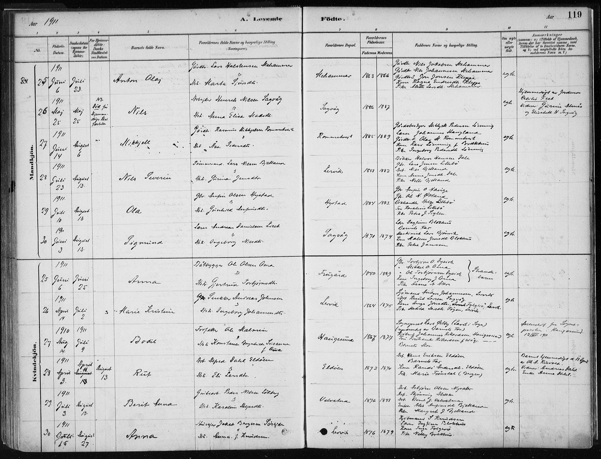 Stord sokneprestembete, AV/SAB-A-78201/H/Haa: Parish register (official) no. B 2, 1878-1913, p. 119