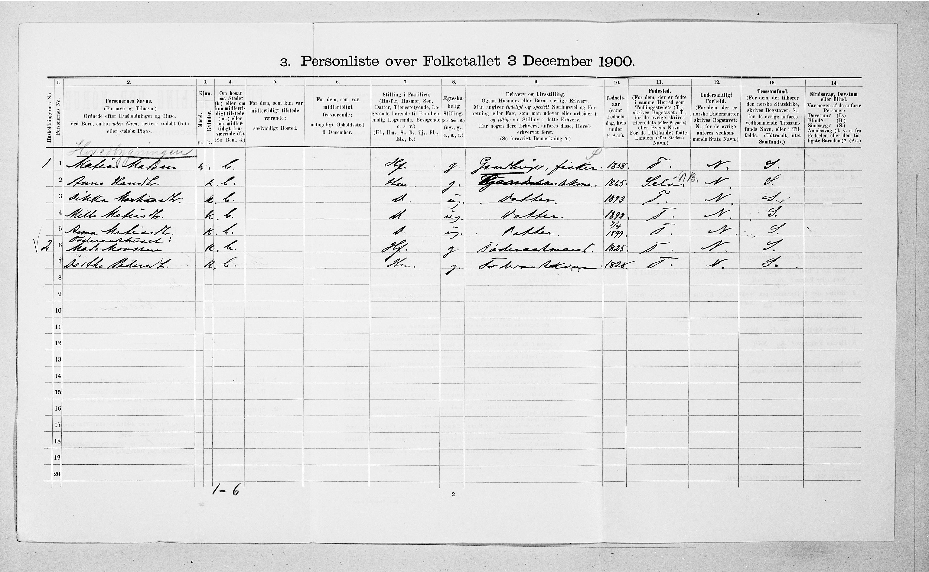SAT, 1900 census for Sande, 1900, p. 313