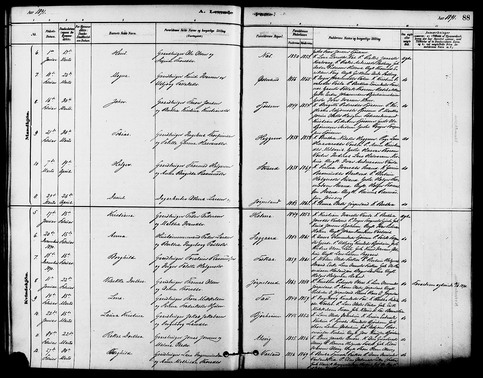 Strand sokneprestkontor, SAST/A-101828/H/Ha/Haa/L0009: Parish register (official) no. A 9, 1877-1908, p. 88