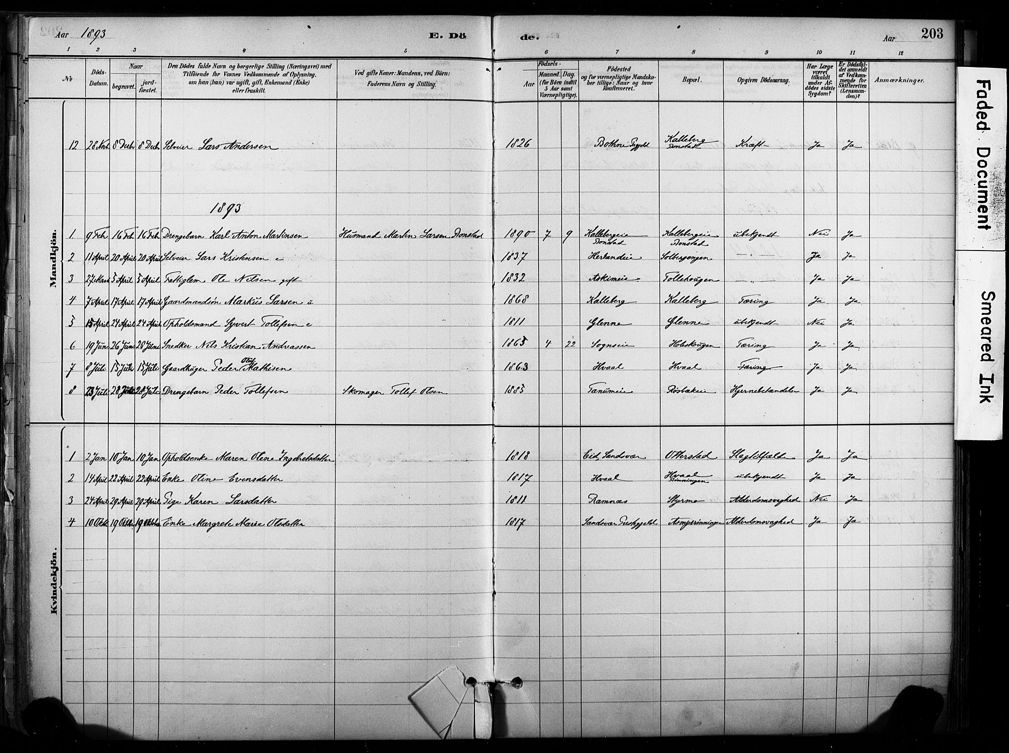 Lardal kirkebøker, AV/SAKO-A-350/F/Fb/L0001: Parish register (official) no. II 1, 1881-1911, p. 203