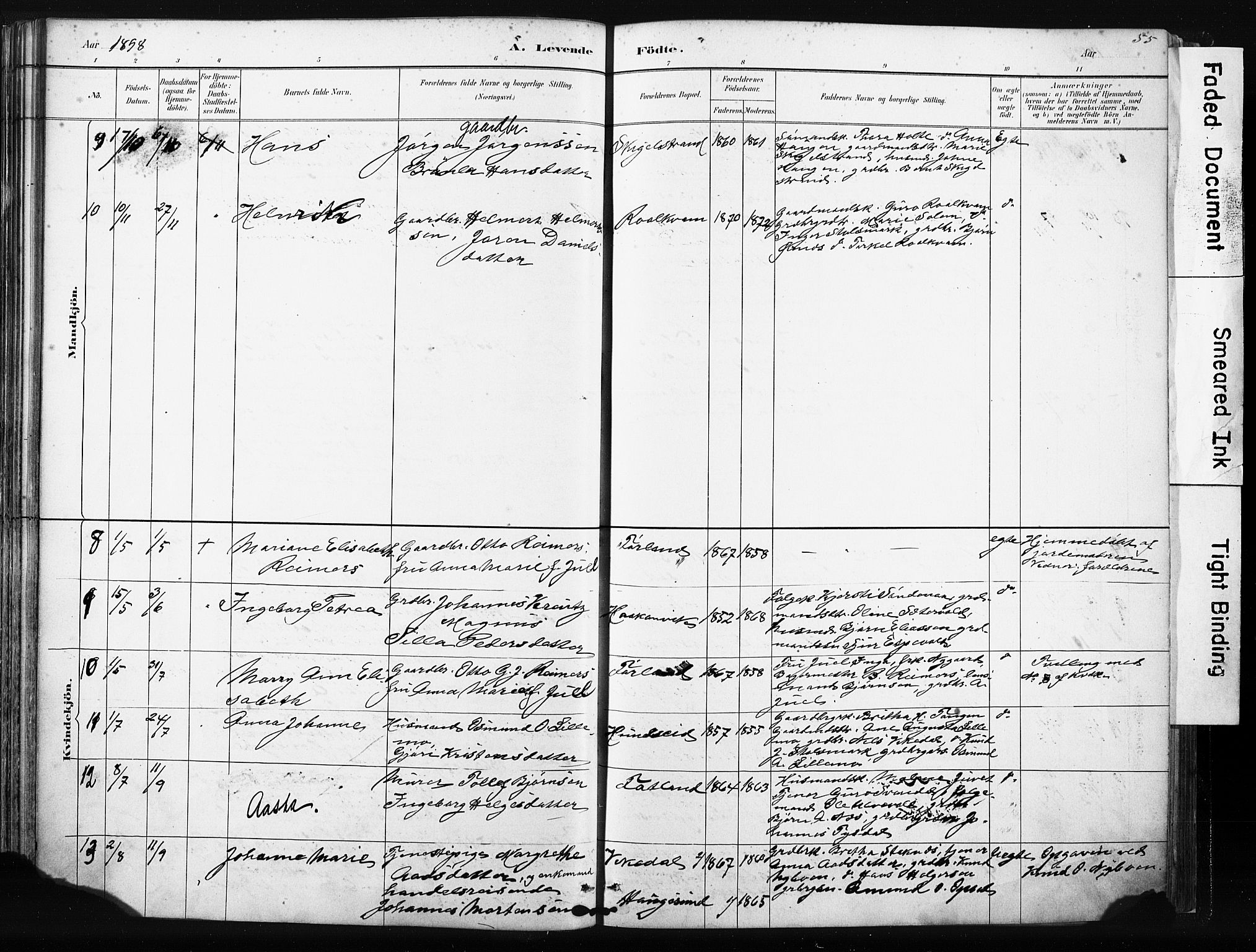 Vikedal sokneprestkontor, SAST/A-101840/01/IV: Parish register (official) no. A 10, 1884-1907, p. 55