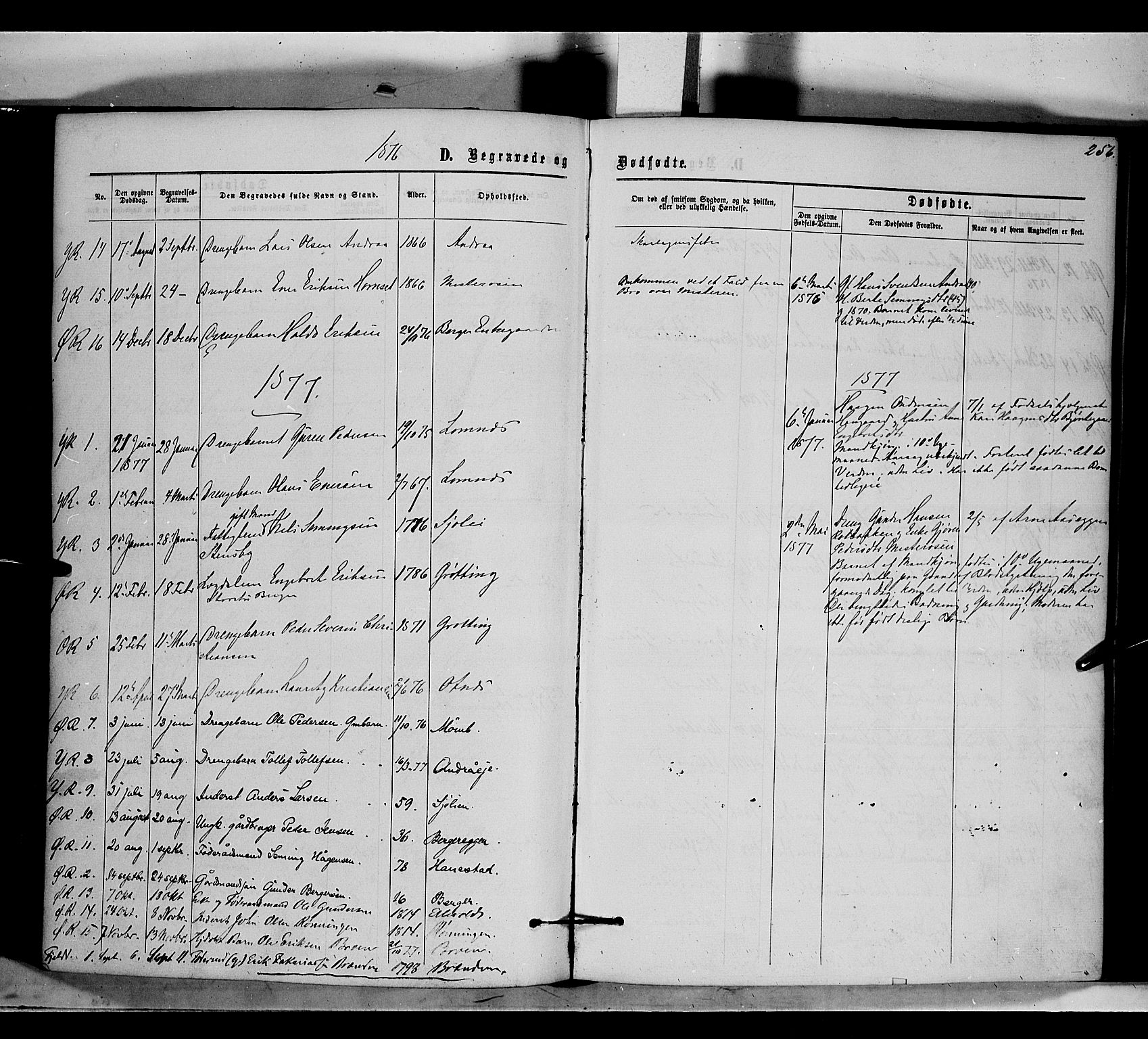 Rendalen prestekontor, SAH/PREST-054/H/Ha/Haa/L0006: Parish register (official) no. 6, 1867-1877, p. 256