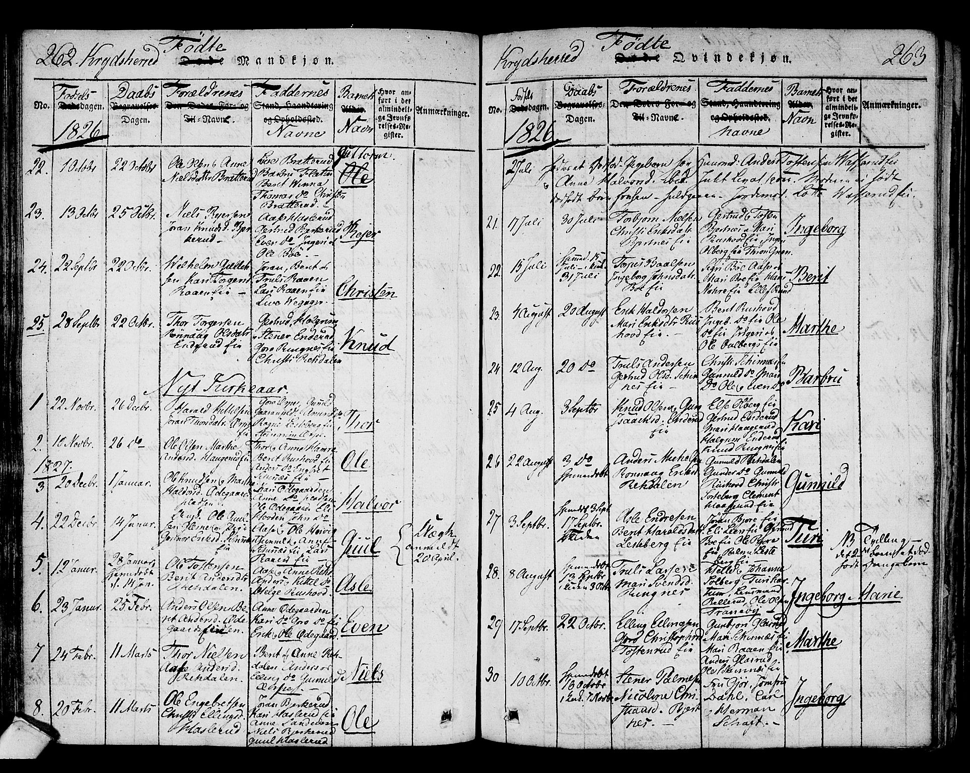 Sigdal kirkebøker, AV/SAKO-A-245/F/Fa/L0005: Parish register (official) no. I 5 /3, 1815-1829, p. 262-263