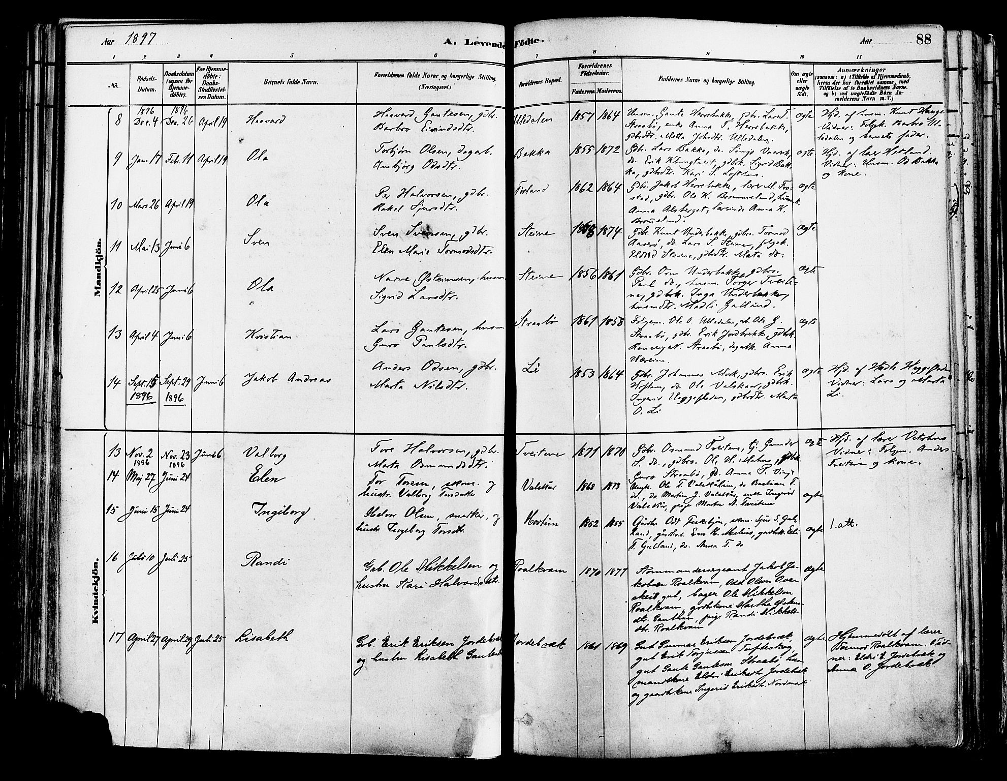 Suldal sokneprestkontor, AV/SAST-A-101845/01/IV/L0011: Parish register (official) no. A 11, 1878-1900, p. 88