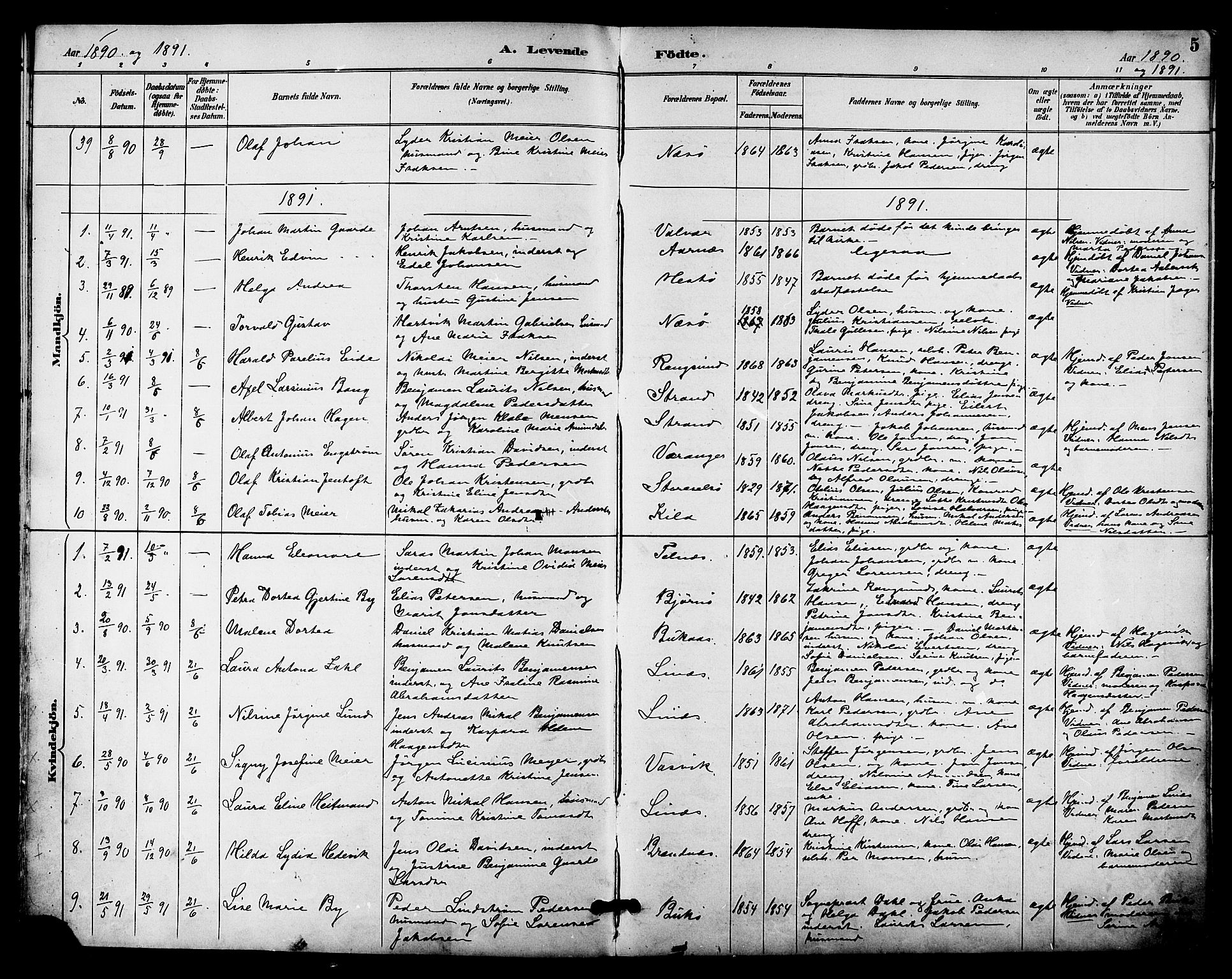 Ministerialprotokoller, klokkerbøker og fødselsregistre - Nordland, SAT/A-1459/841/L0610: Parish register (official) no. 841A14, 1890-1901, p. 5