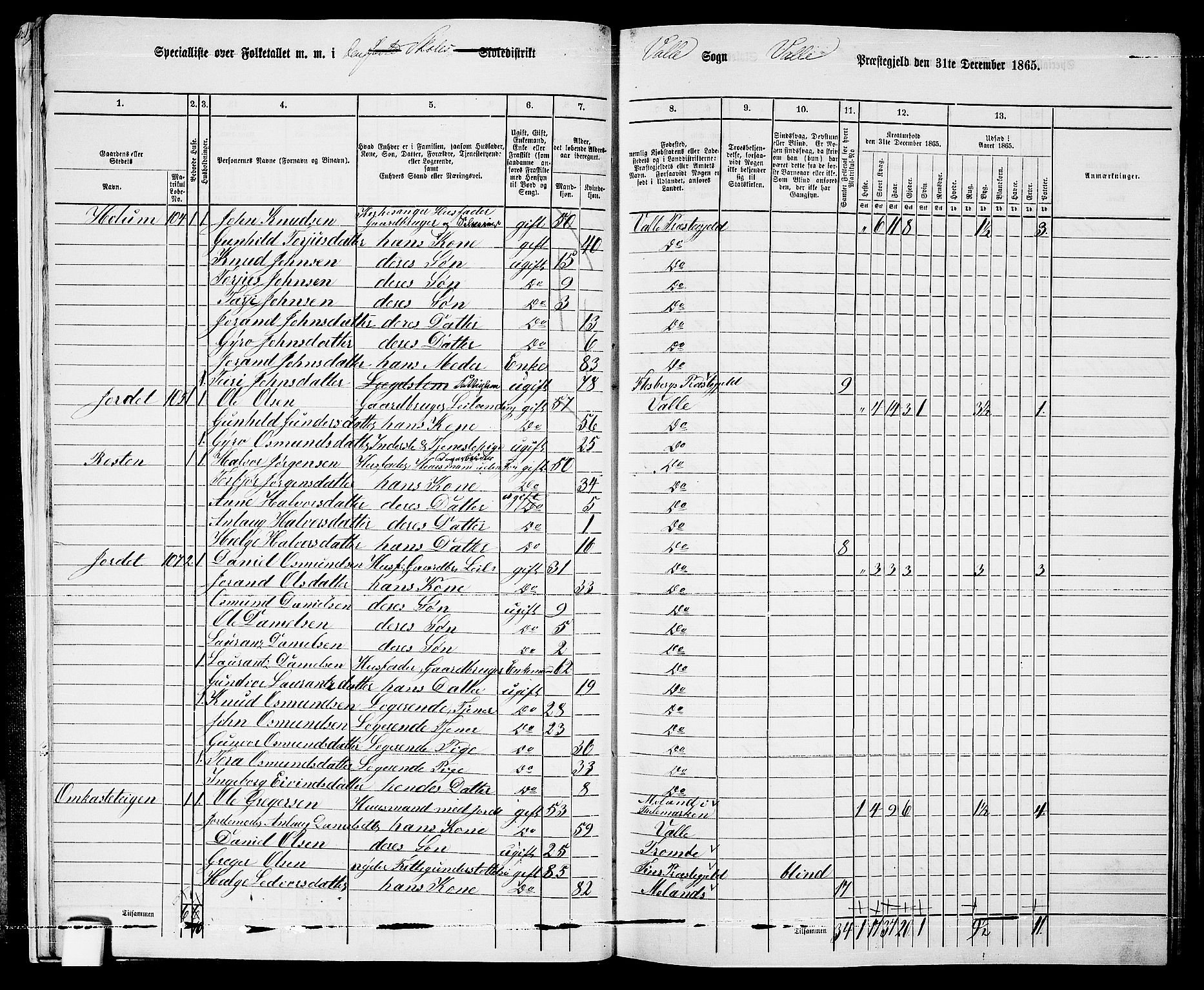 RA, 1865 census for Valle, 1865, p. 15