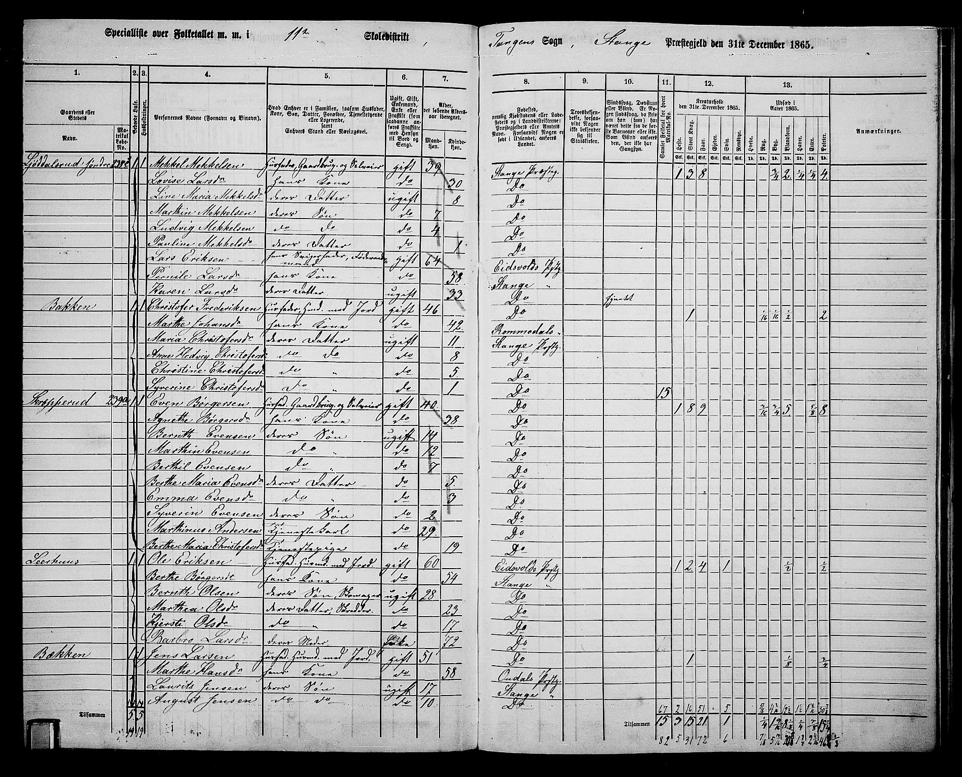 RA, 1865 census for Stange, 1865, p. 248