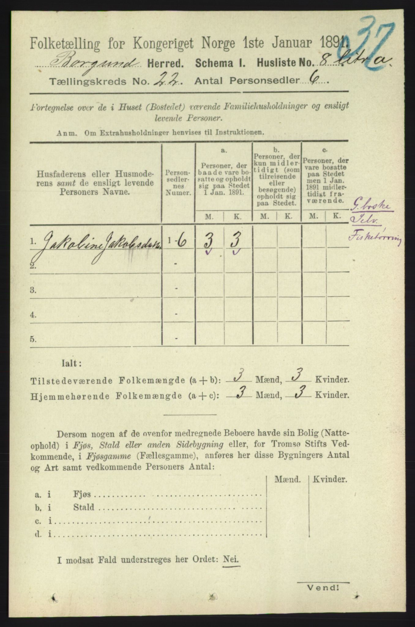 RA, 1891 census for 1531 Borgund, 1891, p. 6599