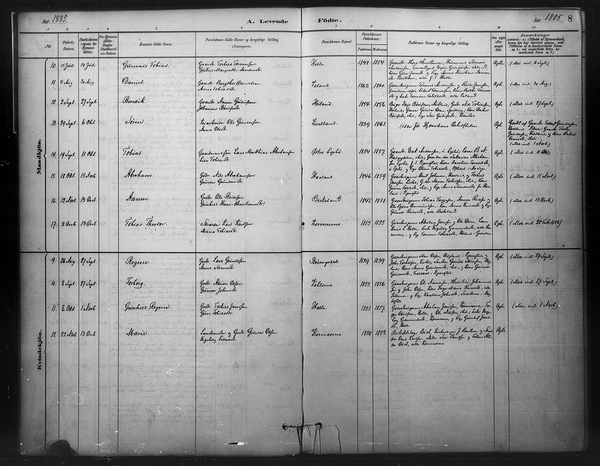 Nord-Audnedal sokneprestkontor, AV/SAK-1111-0032/F/Fa/Faa/L0003: Parish register (official) no. A 3, 1882-1900, p. 8