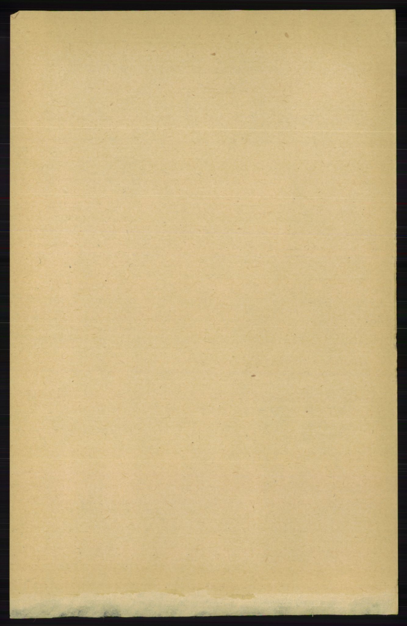 RA, 1891 census for 1019 Halse og Harkmark, 1891, p. 524