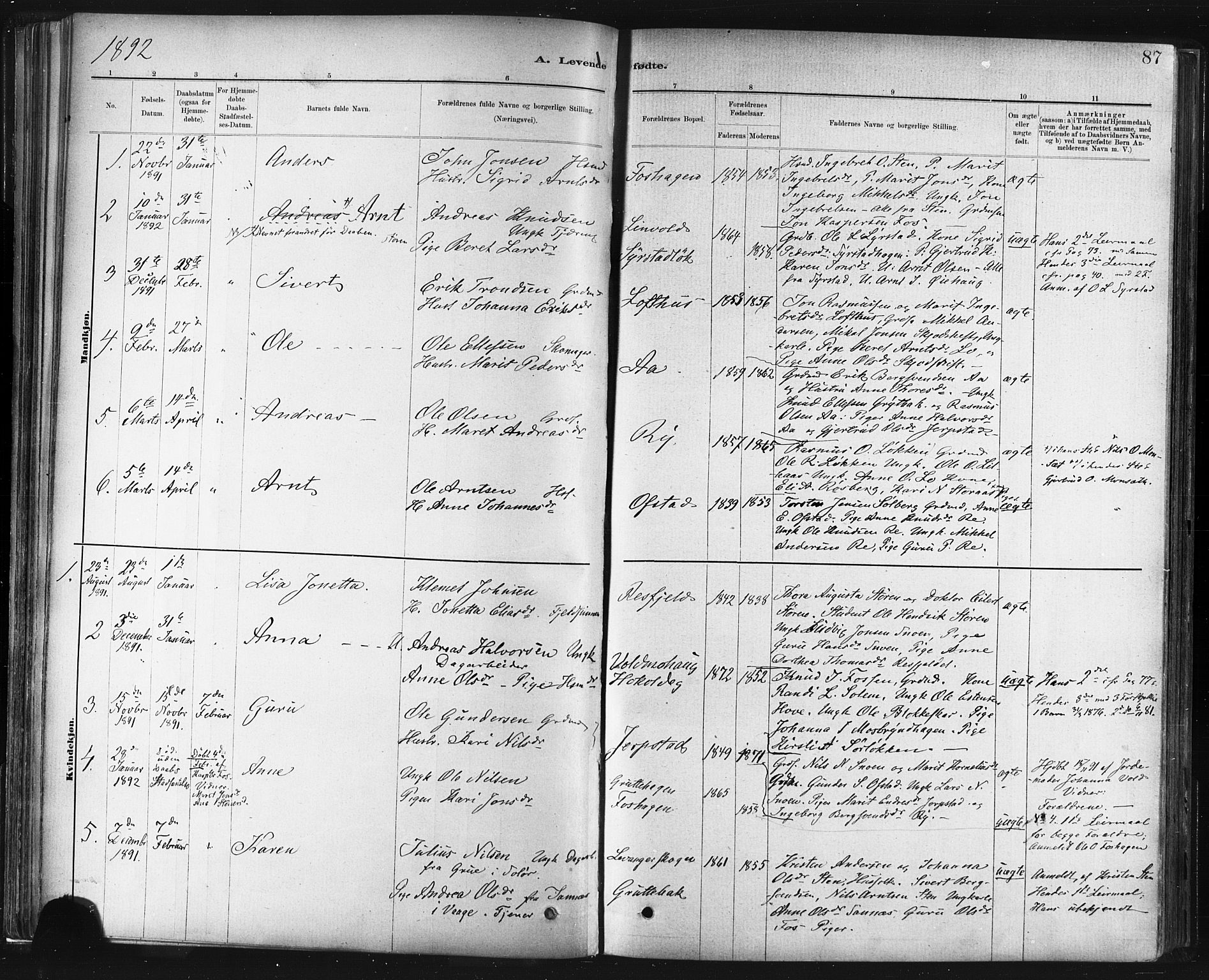 Ministerialprotokoller, klokkerbøker og fødselsregistre - Sør-Trøndelag, SAT/A-1456/672/L0857: Parish register (official) no. 672A09, 1882-1893, p. 87