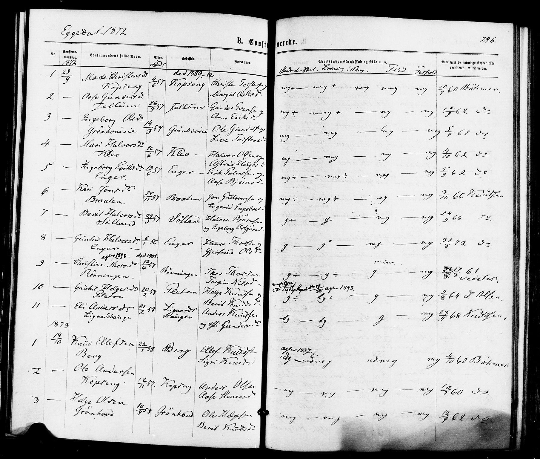 Sigdal kirkebøker, SAKO/A-245/F/Fa/L0010: Parish register (official) no. I 10 /3, 1872-1878, p. 296