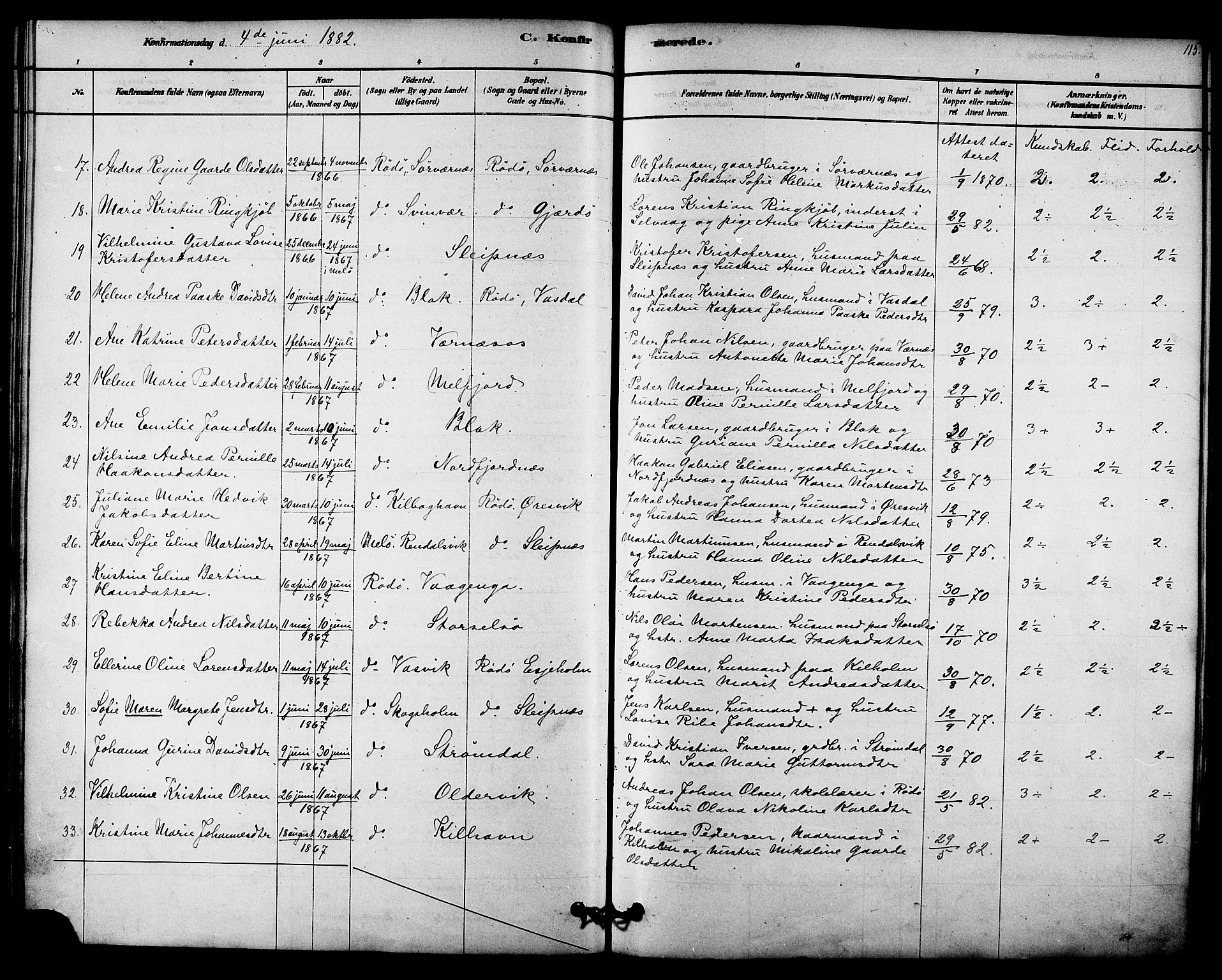 Ministerialprotokoller, klokkerbøker og fødselsregistre - Nordland, AV/SAT-A-1459/841/L0609: Parish register (official) no. 841A12, 1878-1901, p. 115